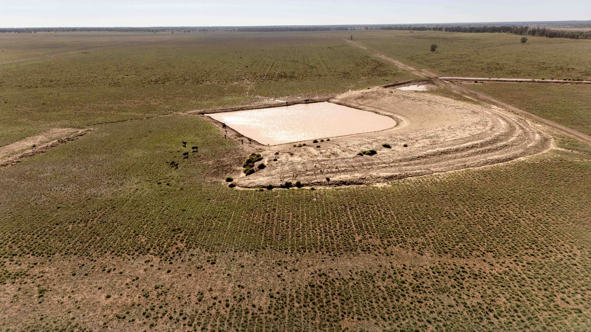 Tingun For Sale by Farmbuy.com - image 23