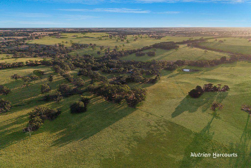 810 Coojar Lane, Tarrayoukyan For Sale by Farmbuy.com - image 28