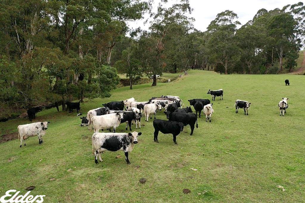 235 Lays Road, Willung South For Sale by Farmbuy.com - image 26