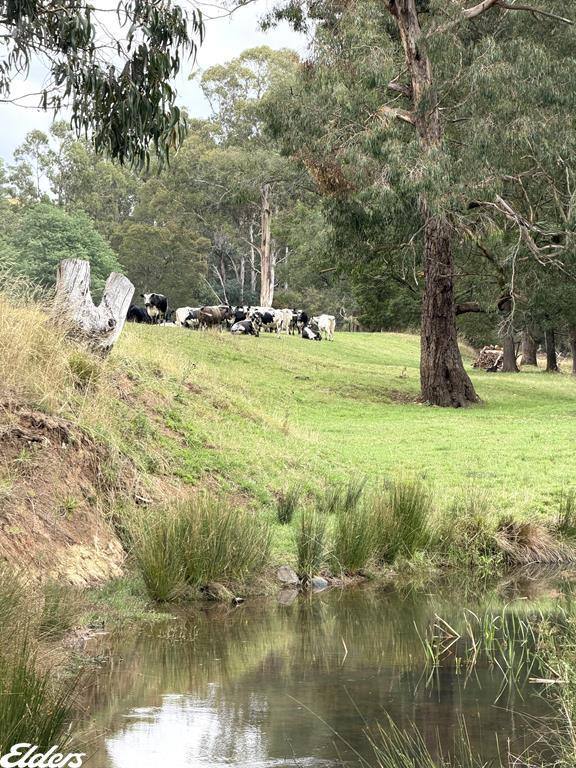 235 Lays Road, Willung South For Sale by Farmbuy.com - image 28