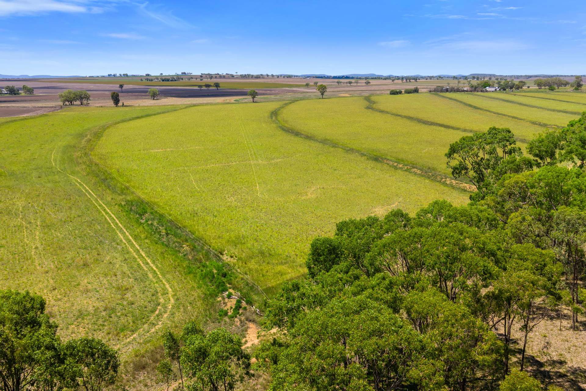 167 Stark Road, Talgai Auction by Farmbuy.com - image 8