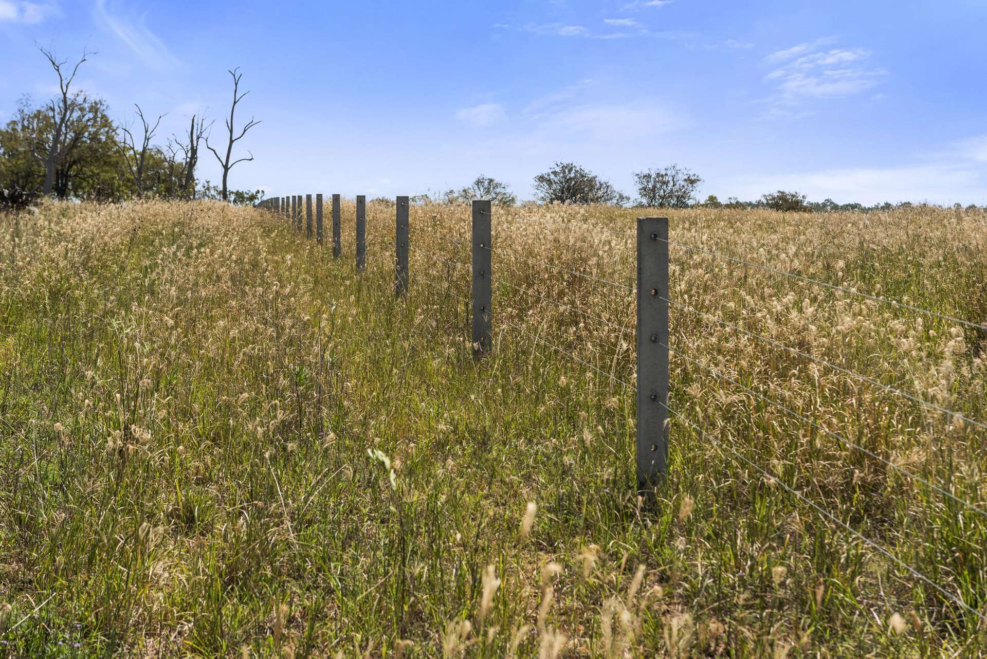 167 Stark Road, Talgai Auction by Farmbuy.com - image 10