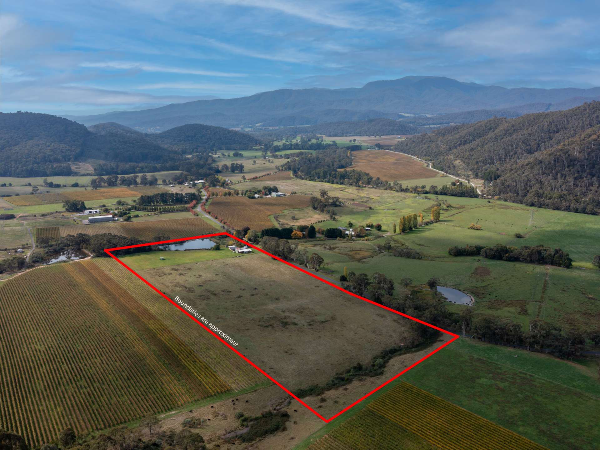 564 Upper King River Road, Cheshunt South For Sale by Farmbuy.com - image 24