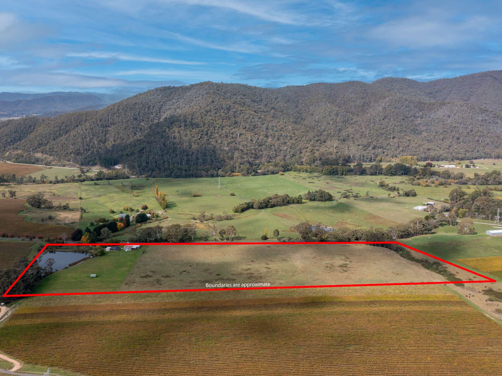 564 Upper King River Road, Cheshunt South For Sale by Farmbuy.com - image 23