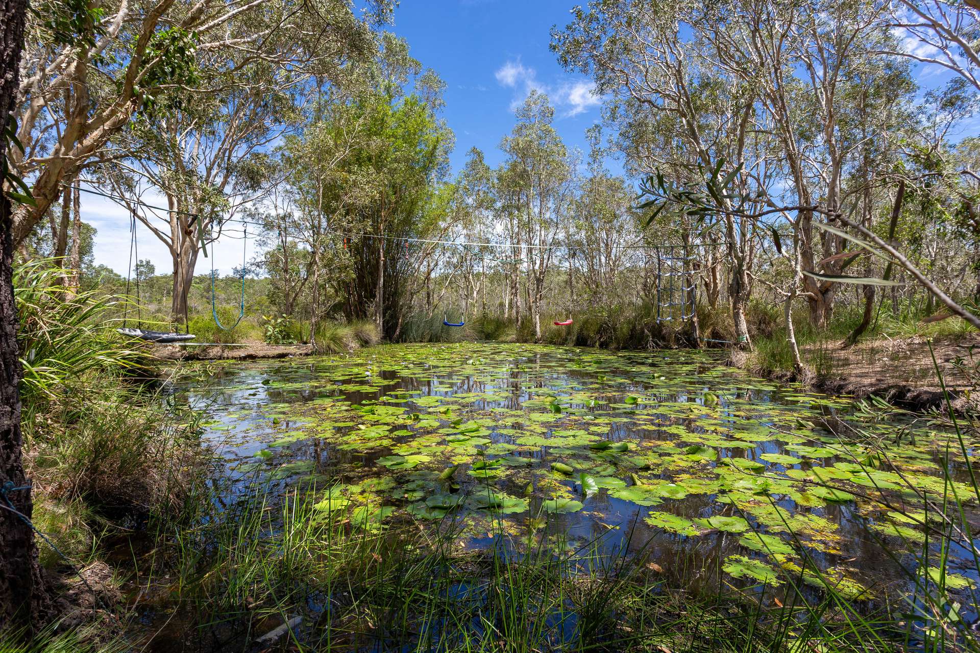 43 Rutch Road, Doonan For Sale by Farmbuy.com - image 32