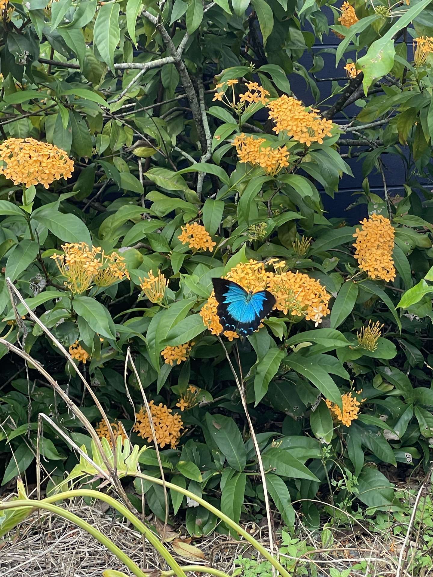 2 Zunkers Road, Hampden For Sale by Farmbuy.com - image 29