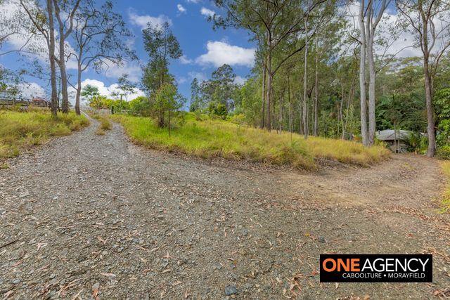 5 Campbells Pocket Road, Wamuran For Sale by Farmbuy.com - image 17