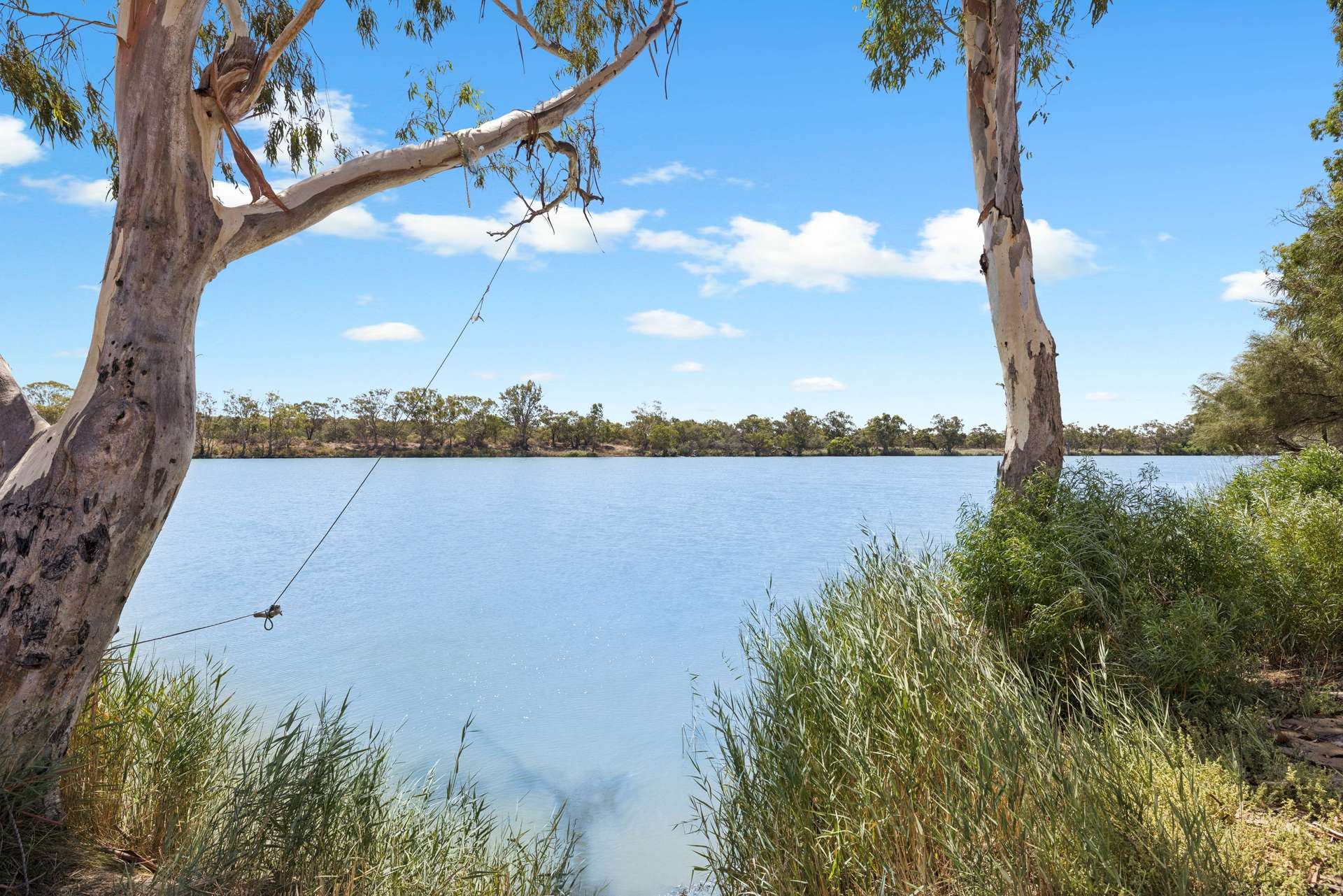 33 Reisling Road, Nildottie For Sale by Farmbuy.com - image 4