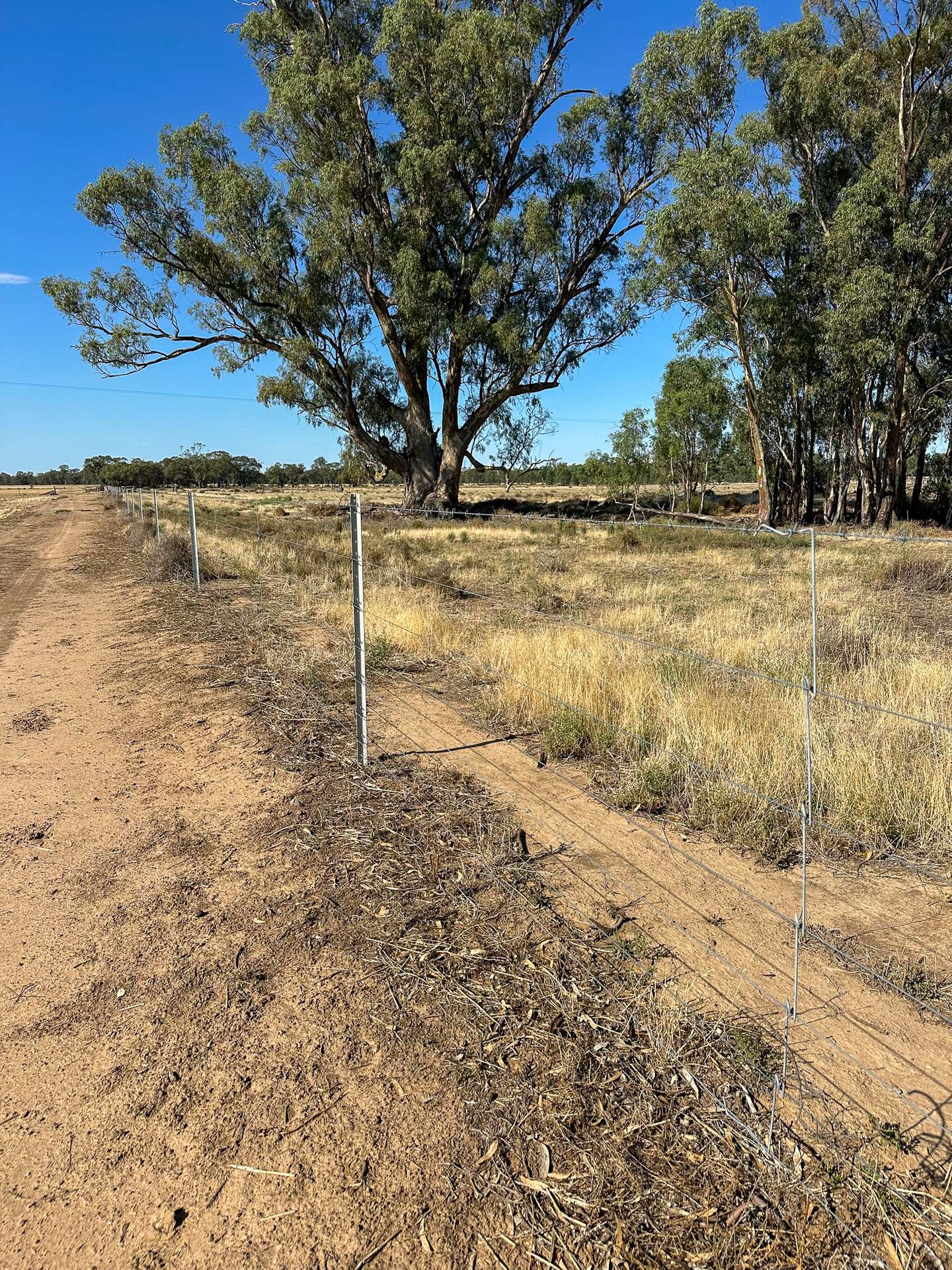 391 Boxdale Road, Calimo For Sale by Farmbuy.com - image 15