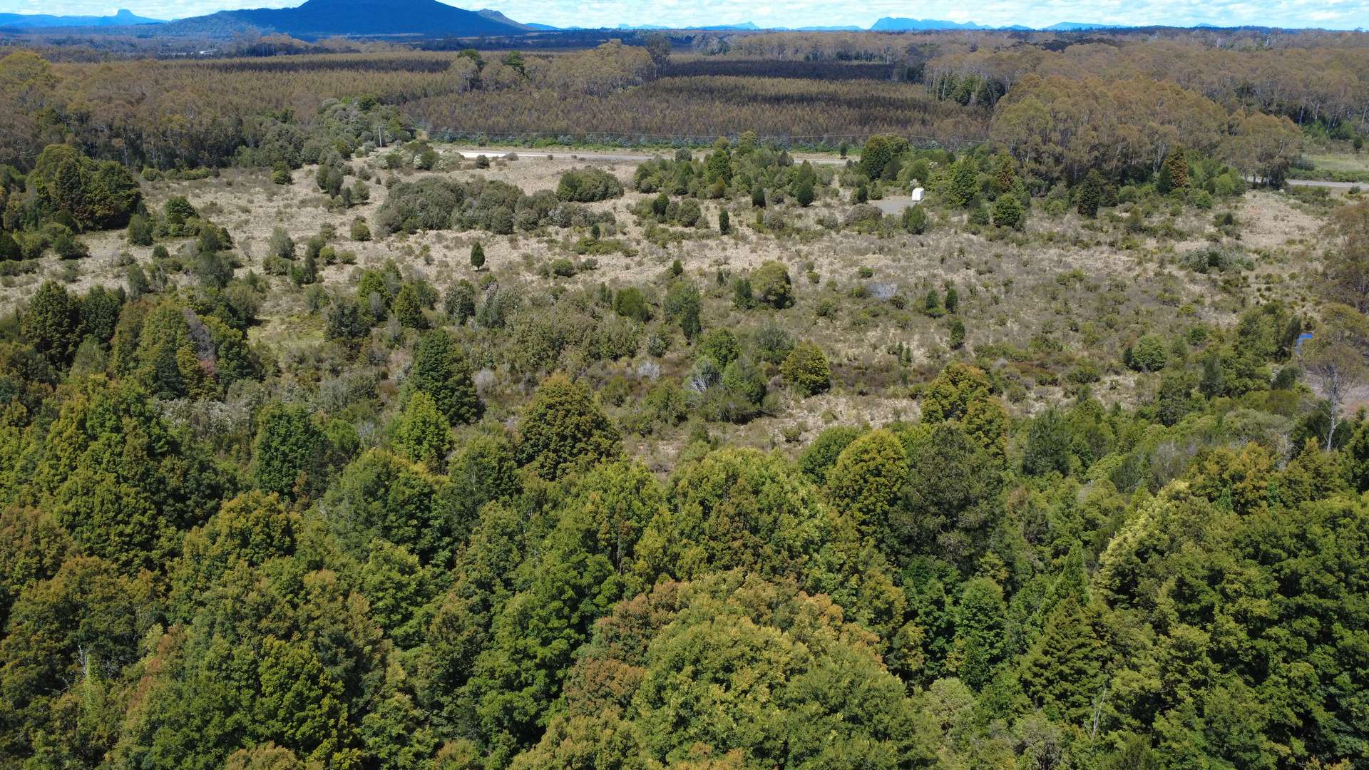 396 Waratah Rd, Waratah For Sale by Farmbuy.com - image 11