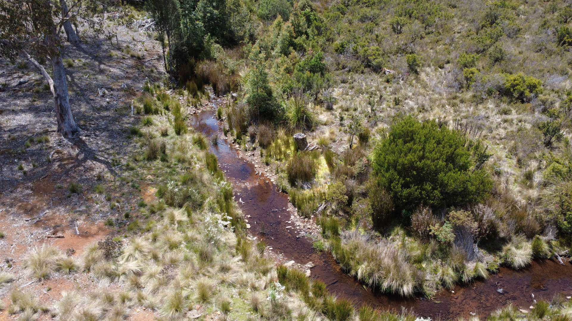 396 Waratah Rd, Waratah For Sale by Farmbuy.com - image 14