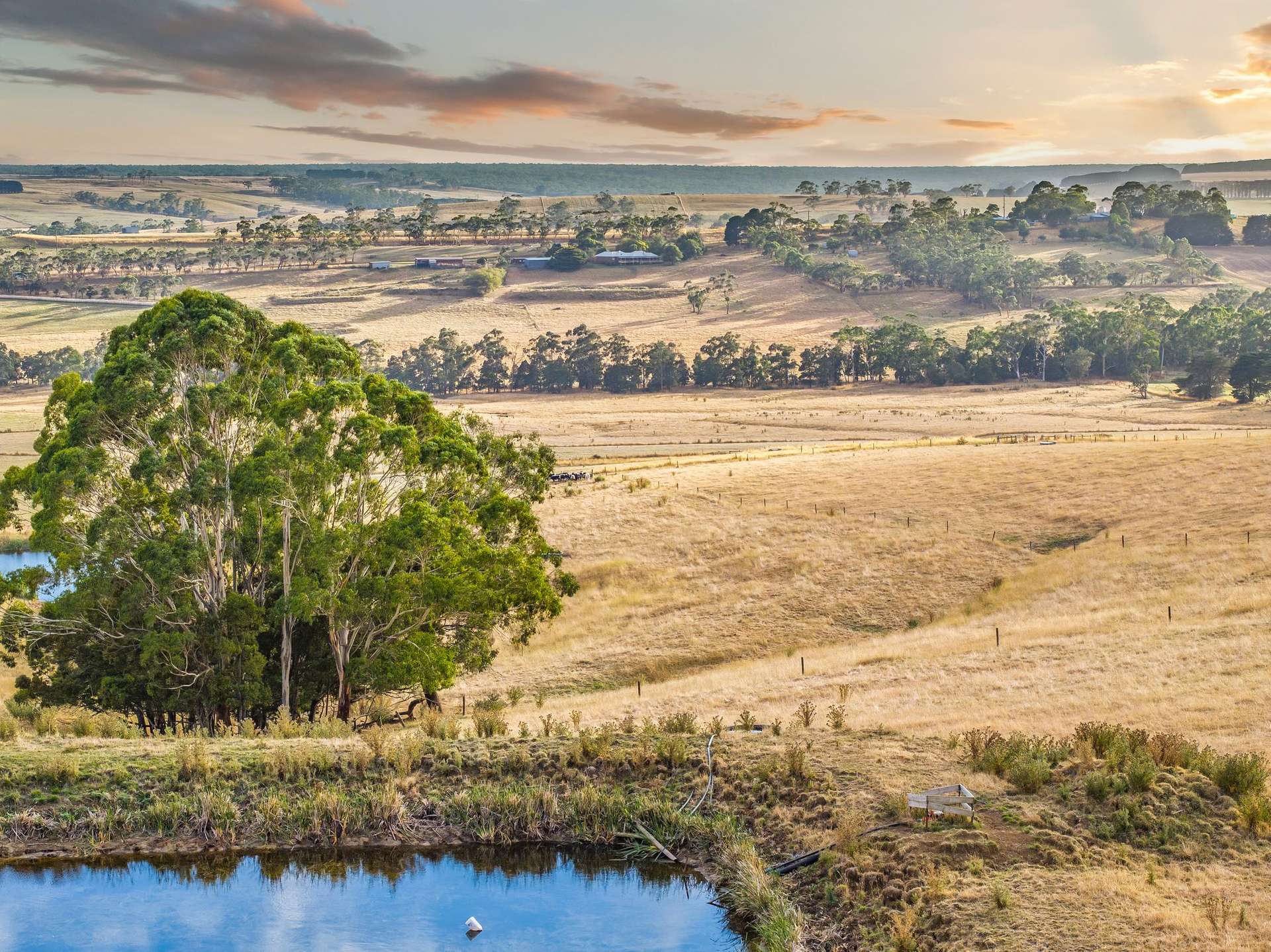 100 Sunday Ridge Road, Simpson Tender by Farmbuy.com - image 25