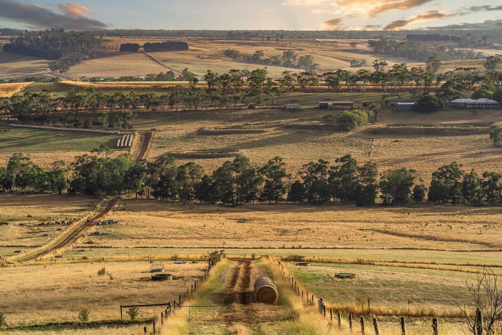 100 Sunday Ridge Road, Simpson Tender by Farmbuy.com - image 27