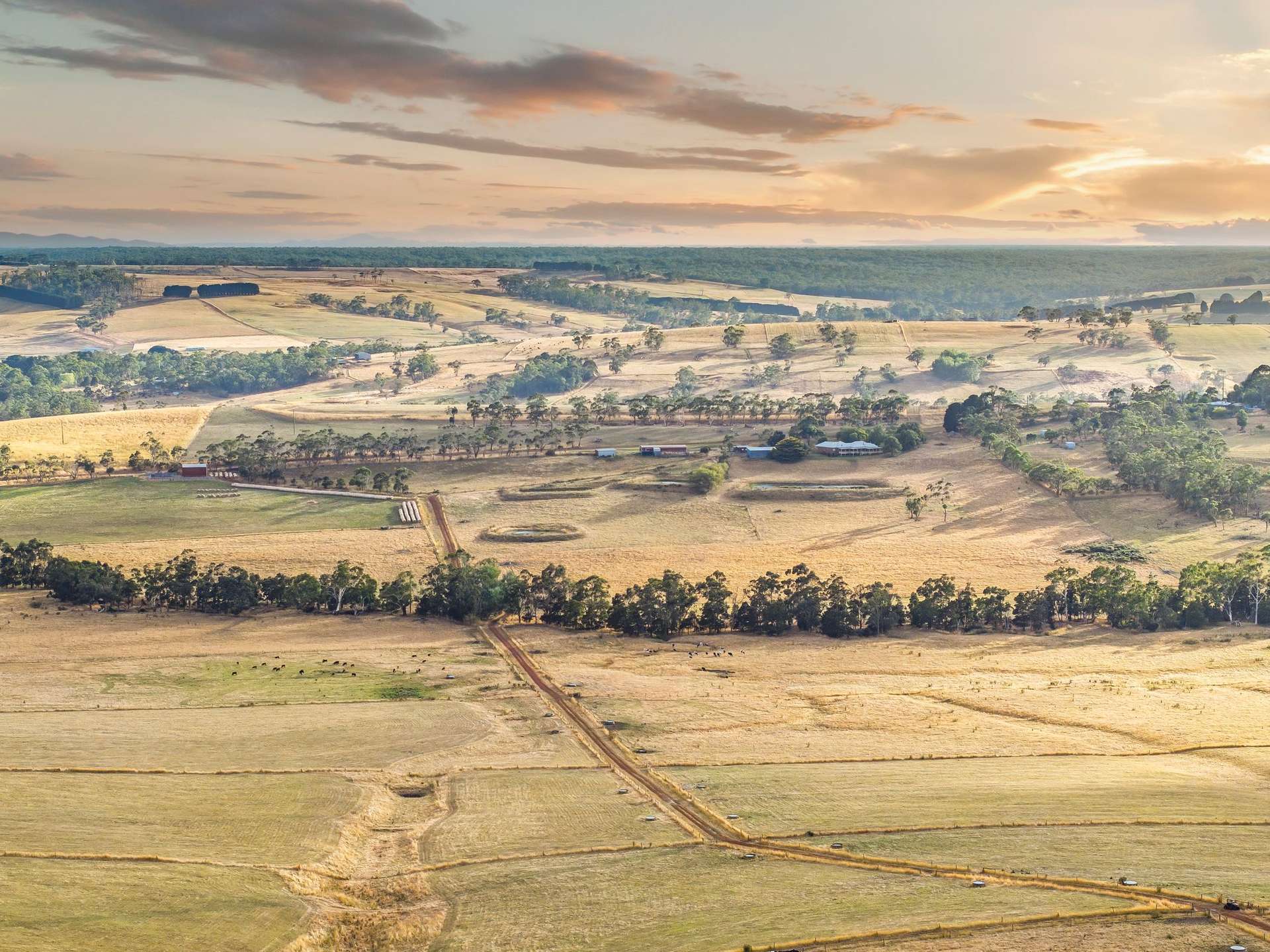 100 Sunday Ridge Road, Simpson Tender by Farmbuy.com - image 29