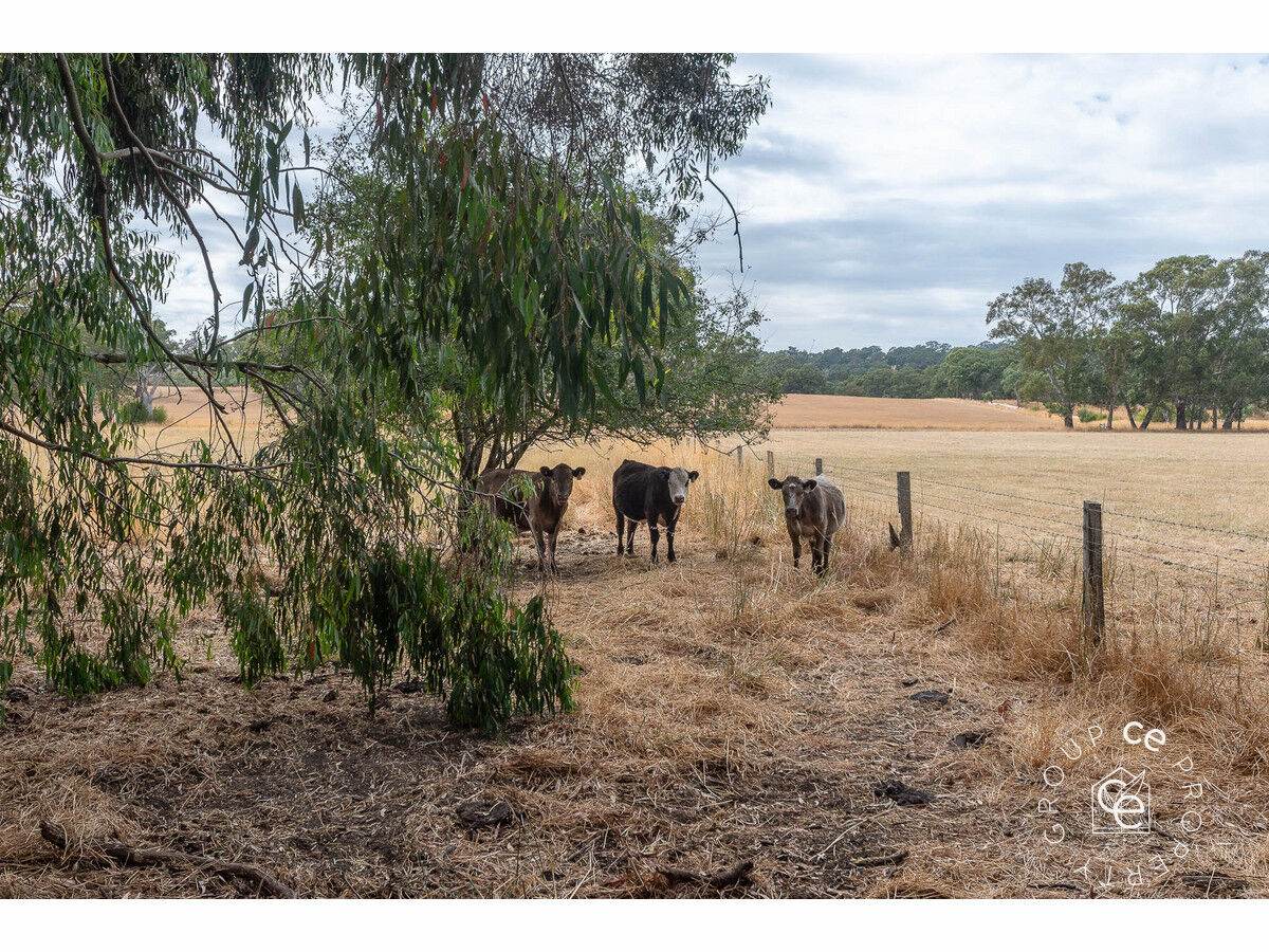 30a Posen Road, Birdwood For Sale by Farmbuy.com - image 32