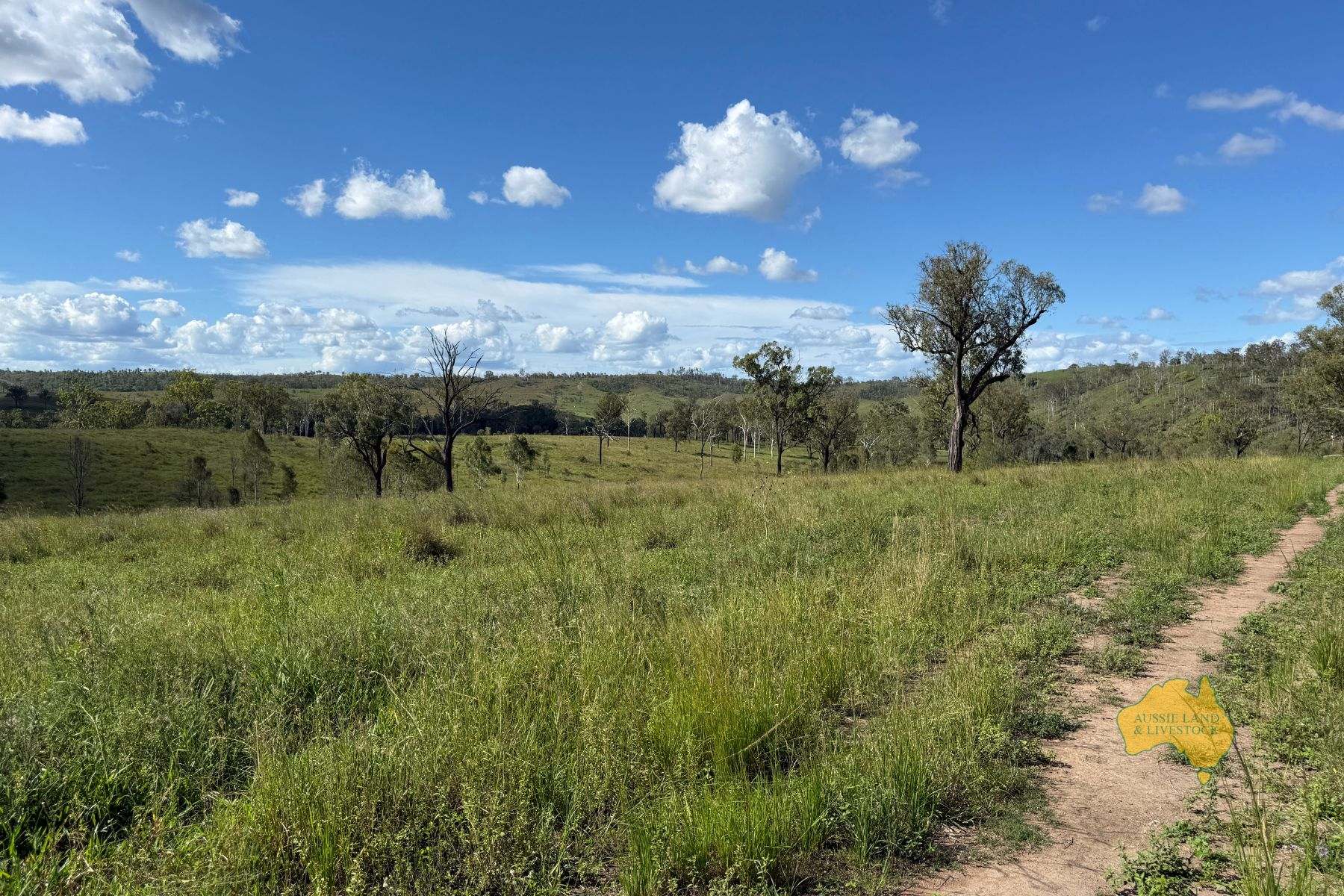 527 KILLERS ROAD, New Moonta For Sale by Farmbuy.com - image 13