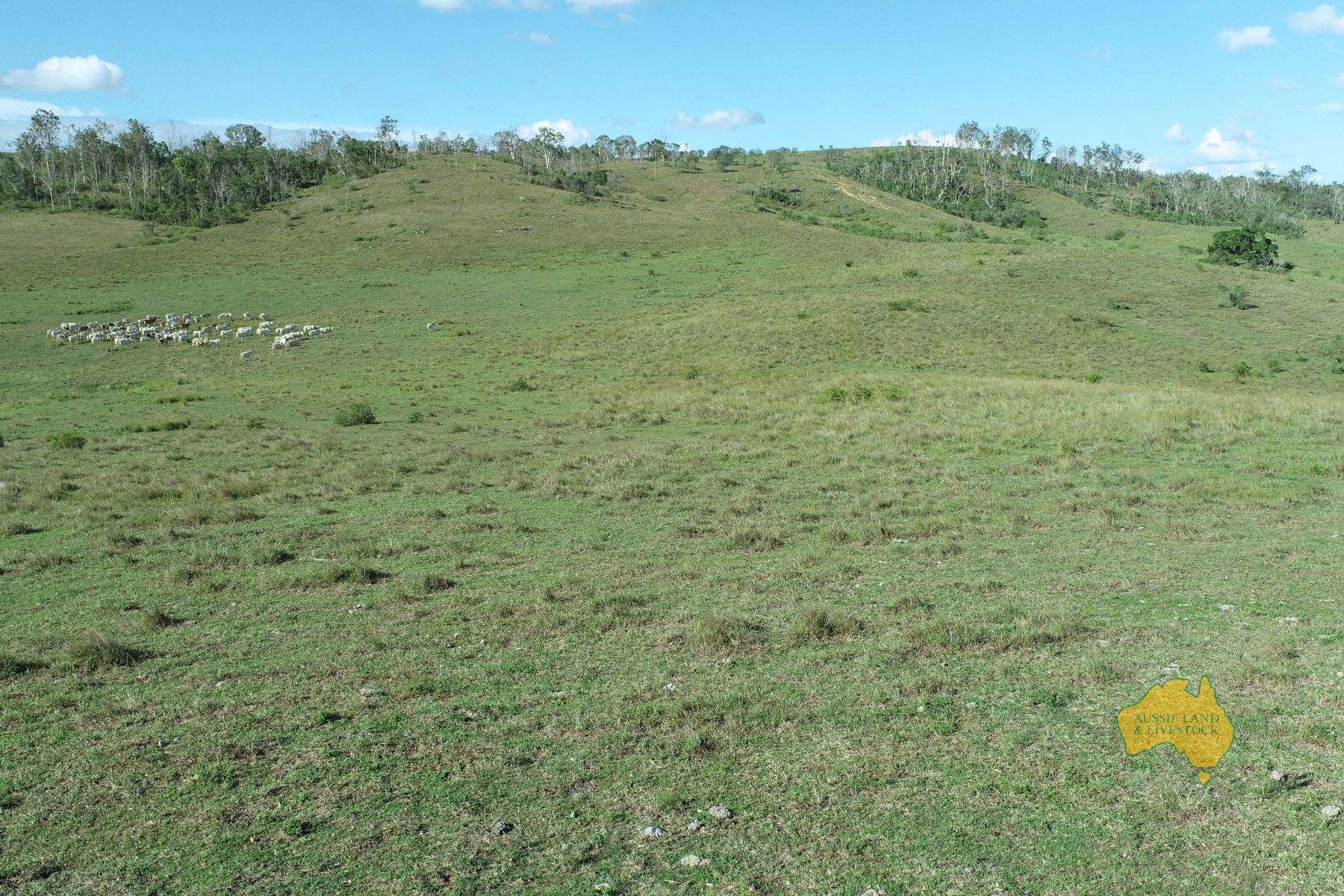 527 KILLERS ROAD, New Moonta For Sale by Farmbuy.com - image 25