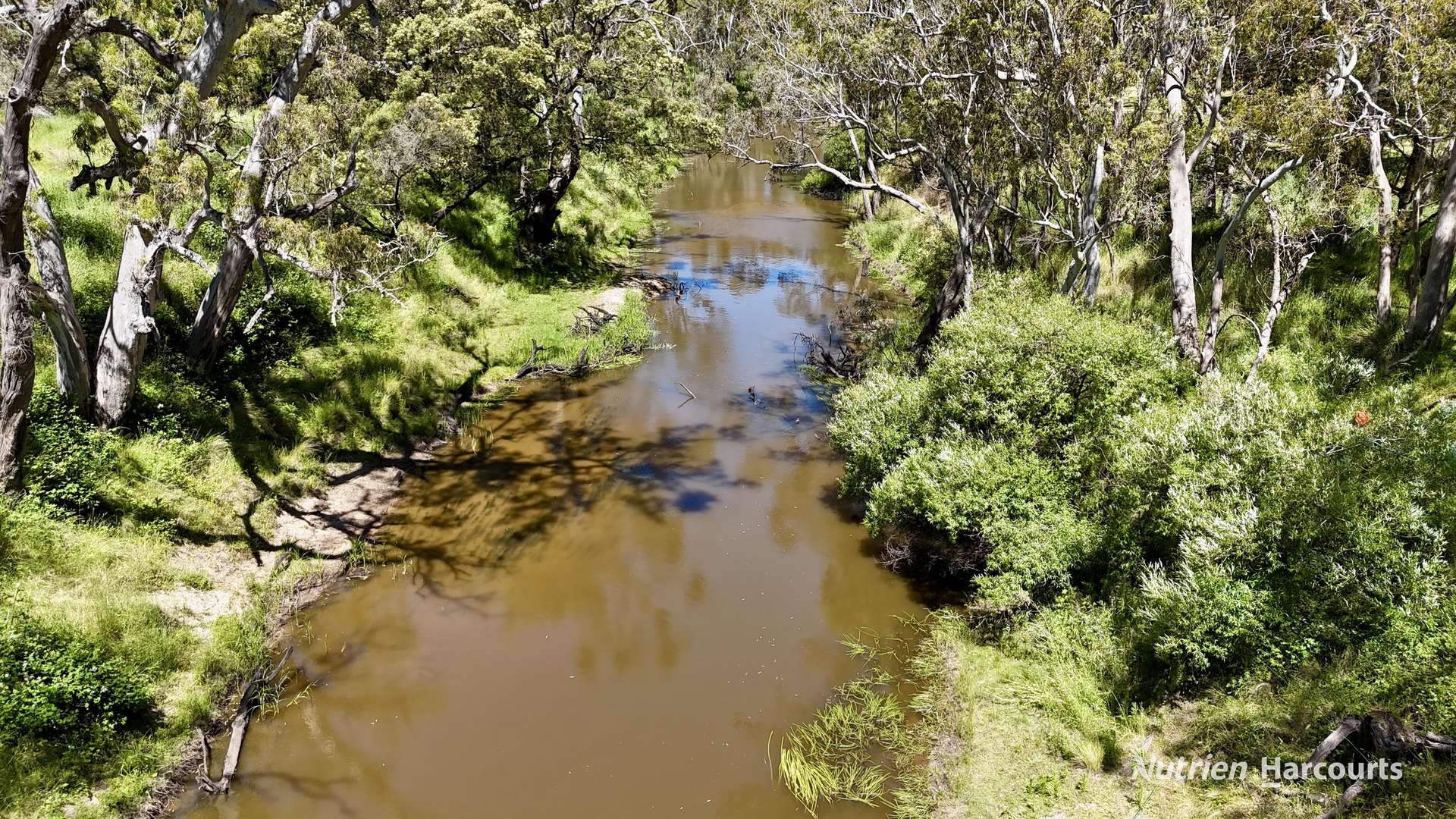 128 Ponderosa Road, Strathdownie For Sale by Farmbuy.com - image 24