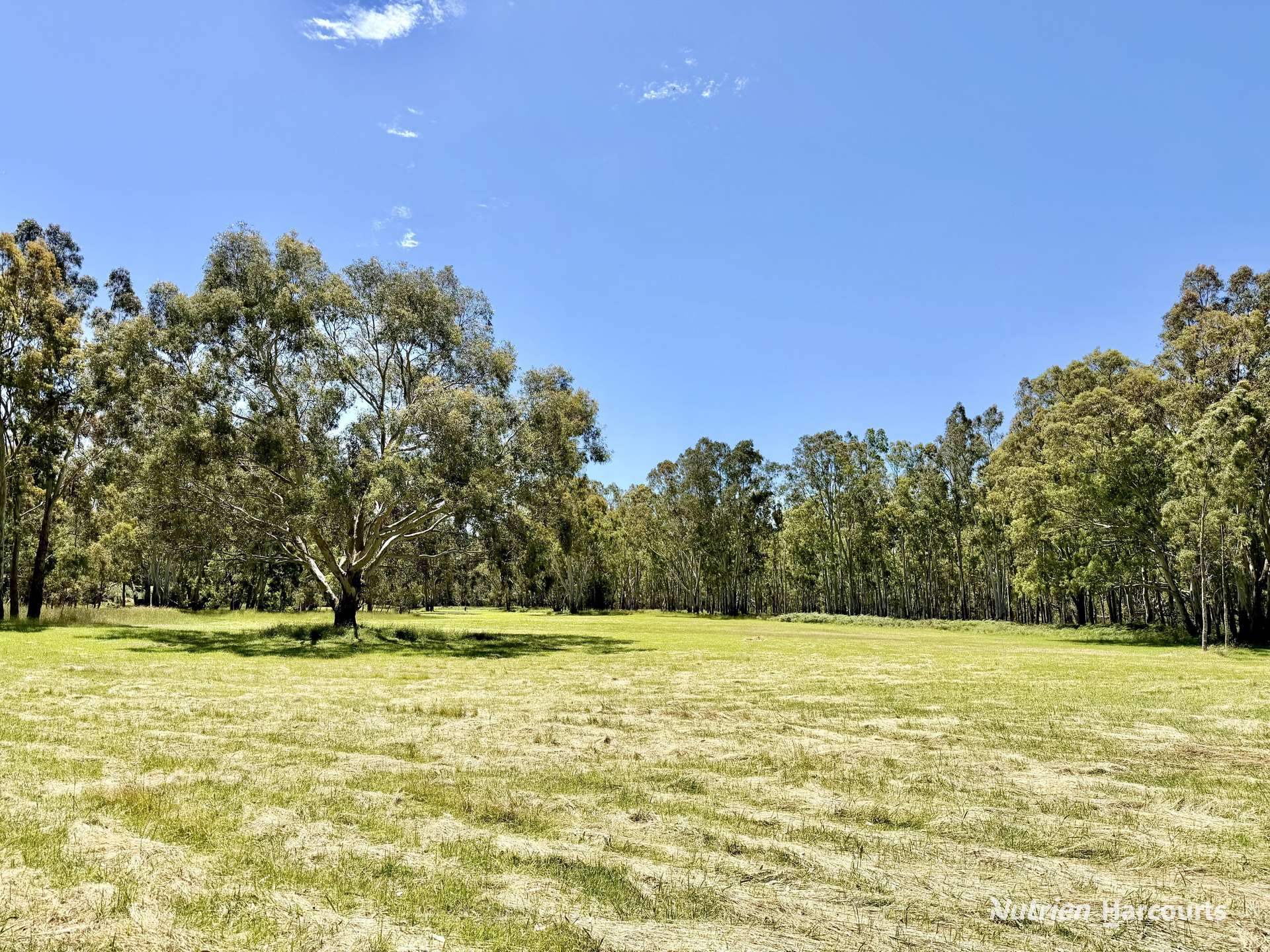 128 Ponderosa Road, Strathdownie For Sale by Farmbuy.com - image 22