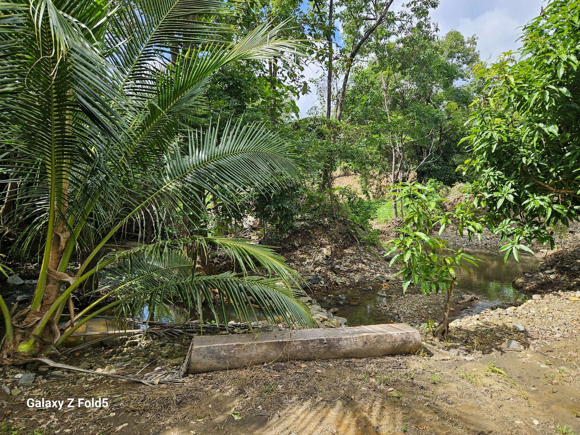 61 Idress Drive, Cooktown For Sale by Farmbuy.com - image 20