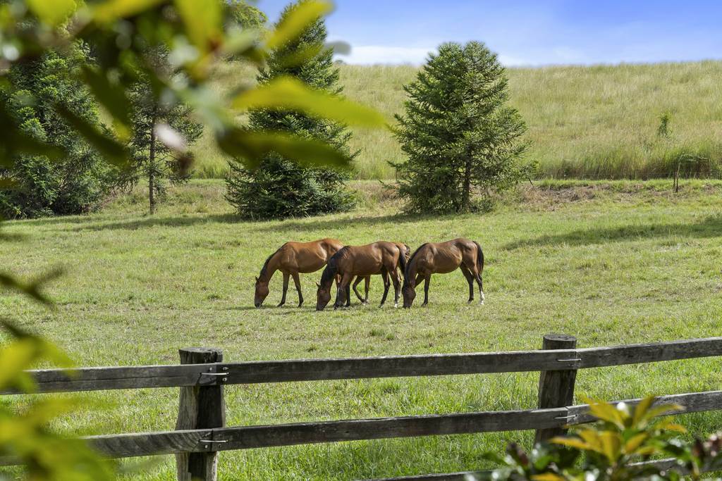 160 Upper Crystal Creek Road, Upper Crystal Creek NSW 2484