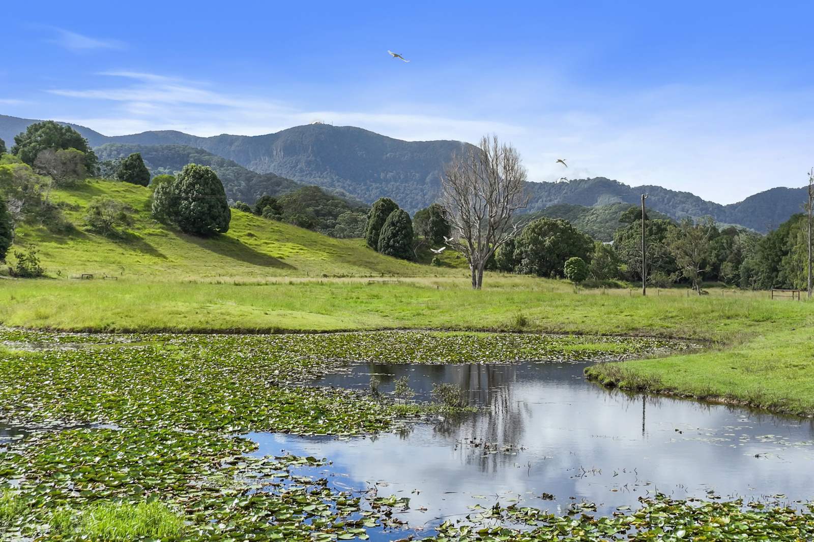 160 Upper Crystal Creek Road, Upper Crystal Creek For Sale by Farmbuy.com - image 30