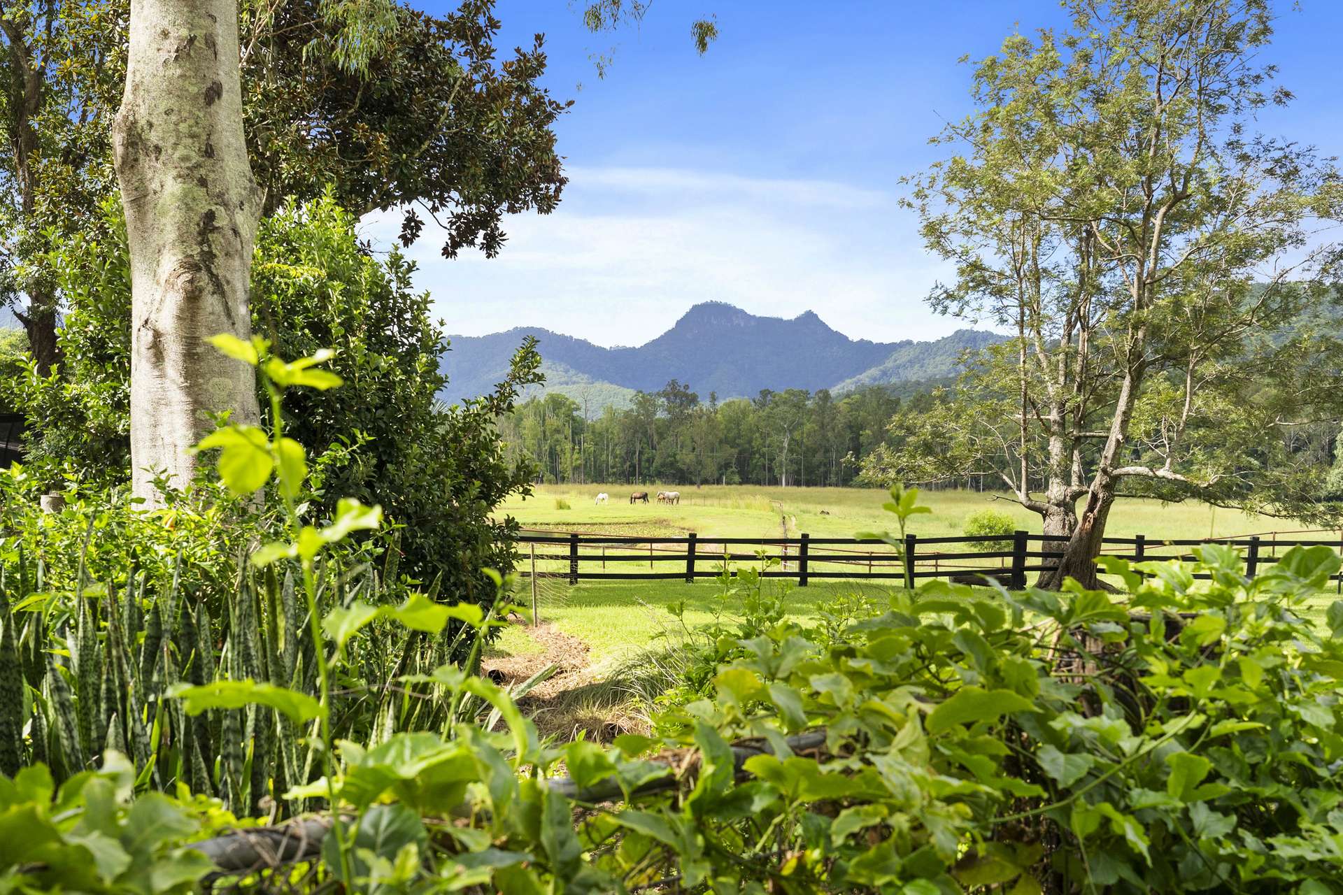 160 Upper Crystal Creek Road, Upper Crystal Creek For Sale by Farmbuy.com - image 27