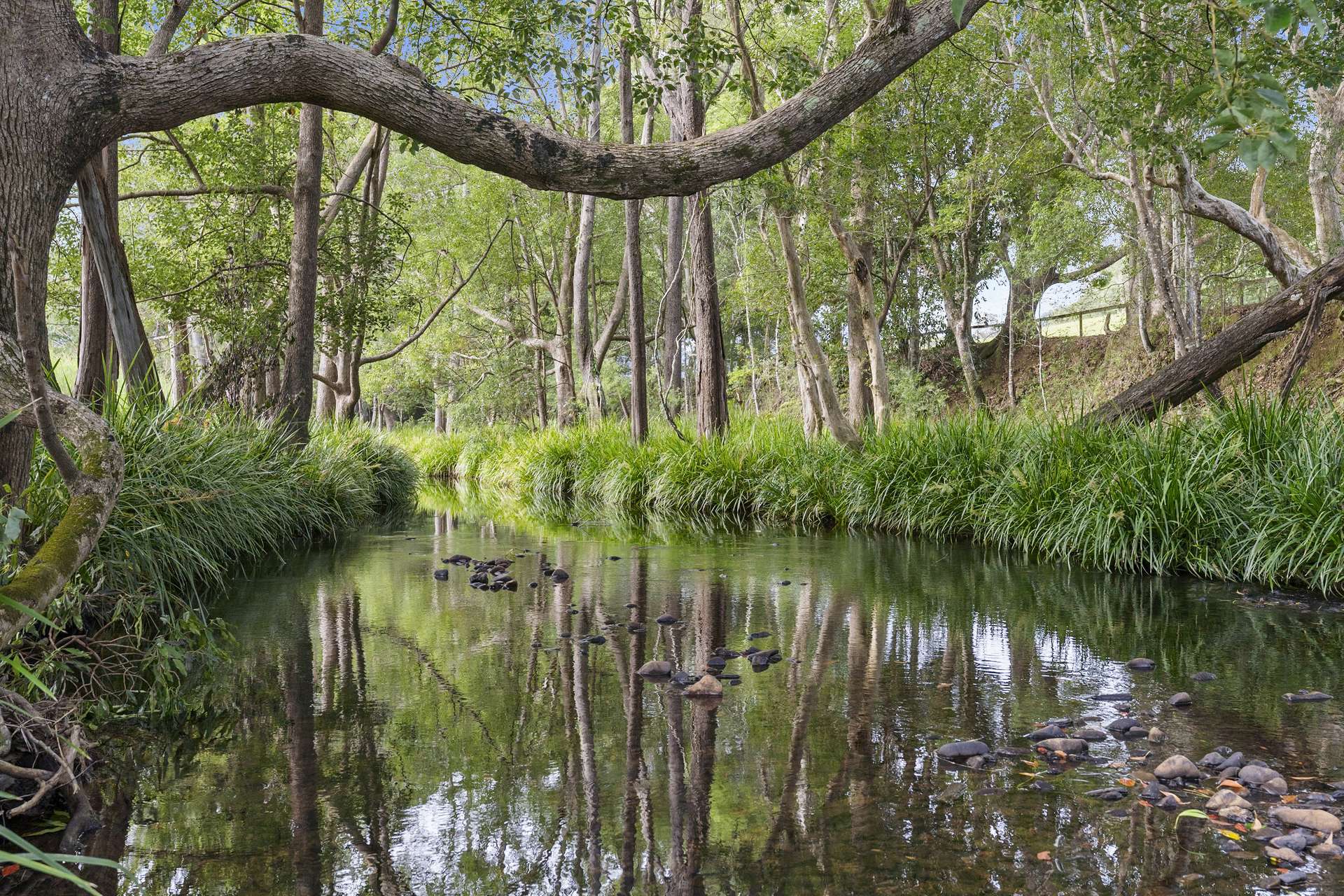 160 Upper Crystal Creek Road, Upper Crystal Creek For Sale by Farmbuy.com - image 35