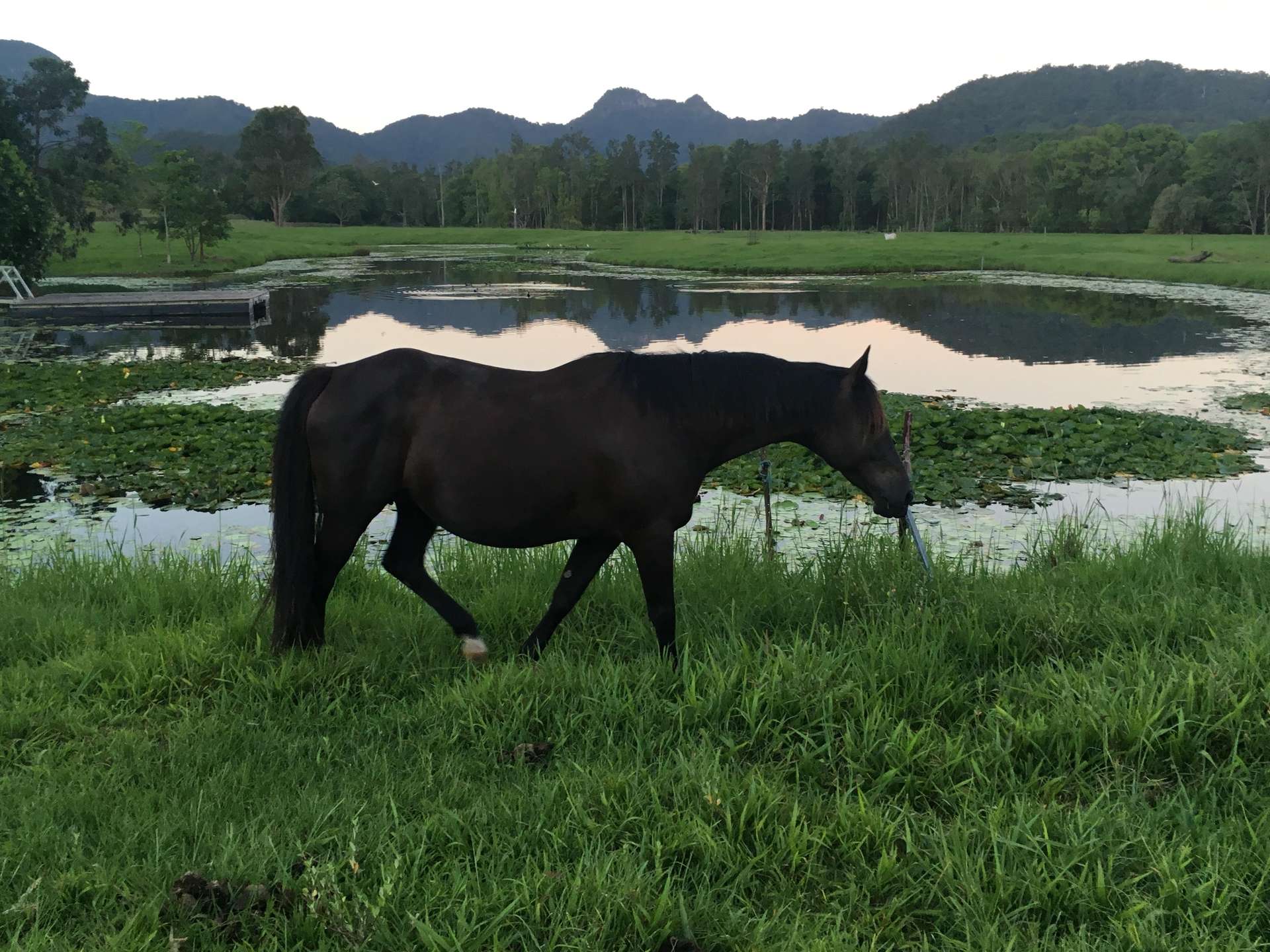 160 Upper Crystal Creek Road, Upper Crystal Creek For Sale by Farmbuy.com - image 17