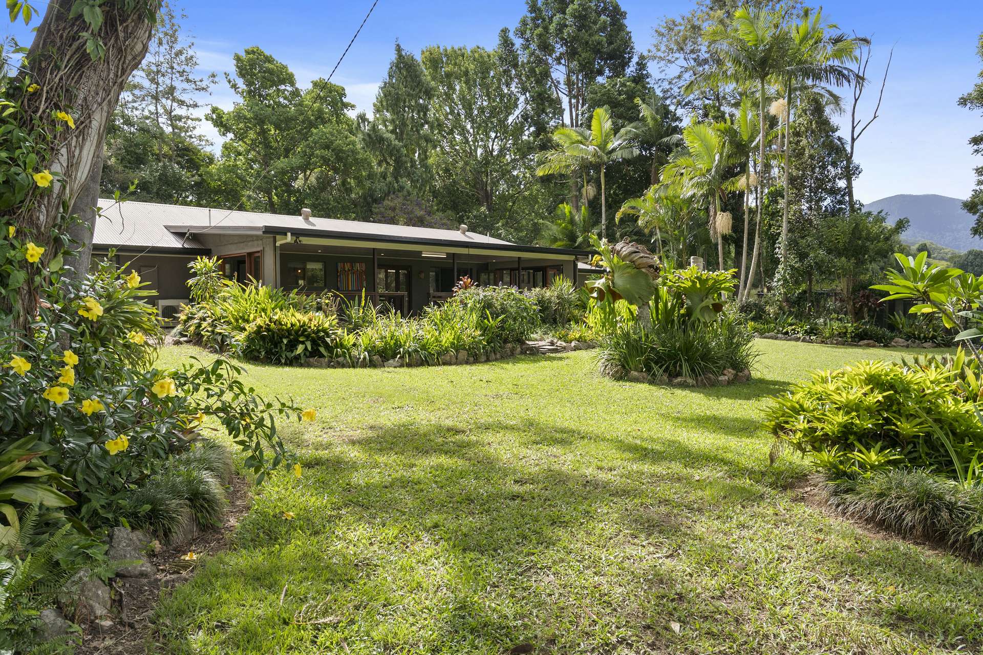 160 Upper Crystal Creek Road, Upper Crystal Creek For Sale by Farmbuy.com - image 6