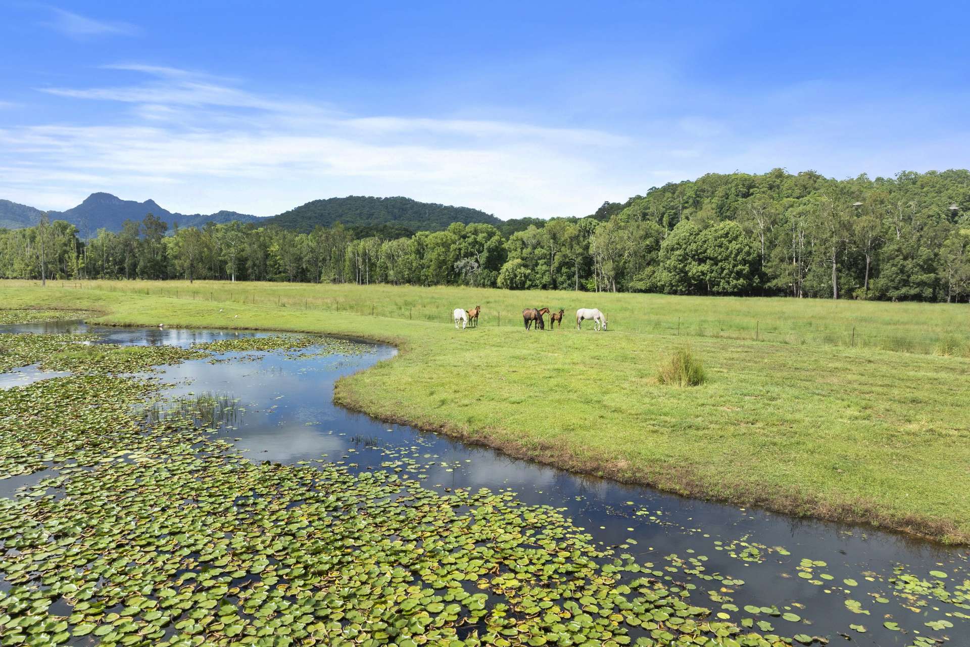 160 Upper Crystal Creek Road, Upper Crystal Creek For Sale by Farmbuy.com - image 29