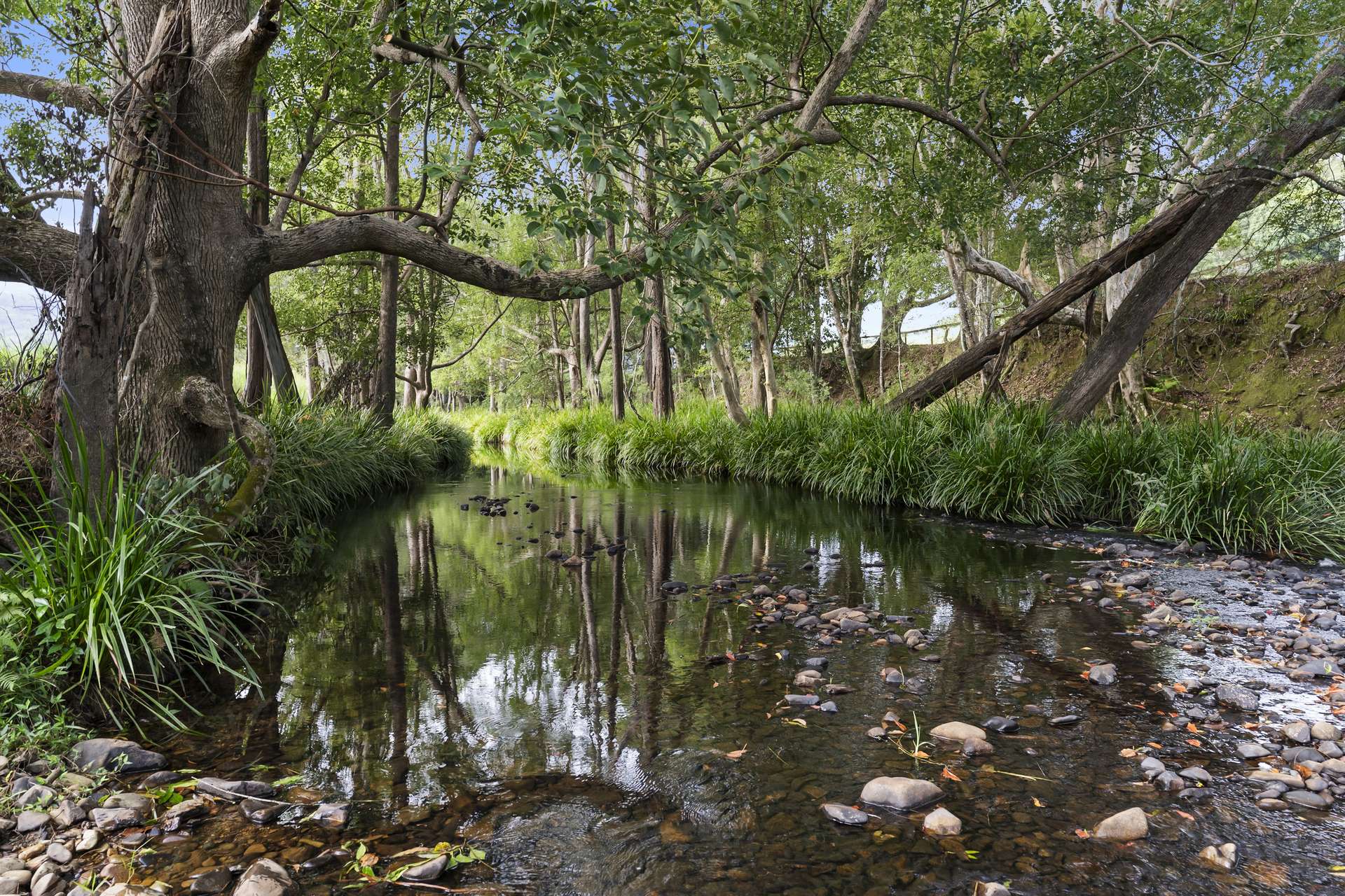 160 Upper Crystal Creek Road, Upper Crystal Creek For Sale by Farmbuy.com - image 34