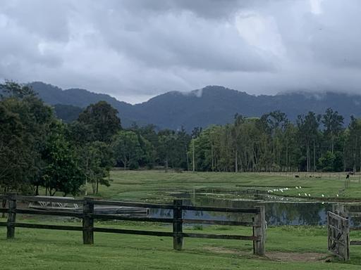 160 Upper Crystal Creek Road, Upper Crystal Creek NSW 2484