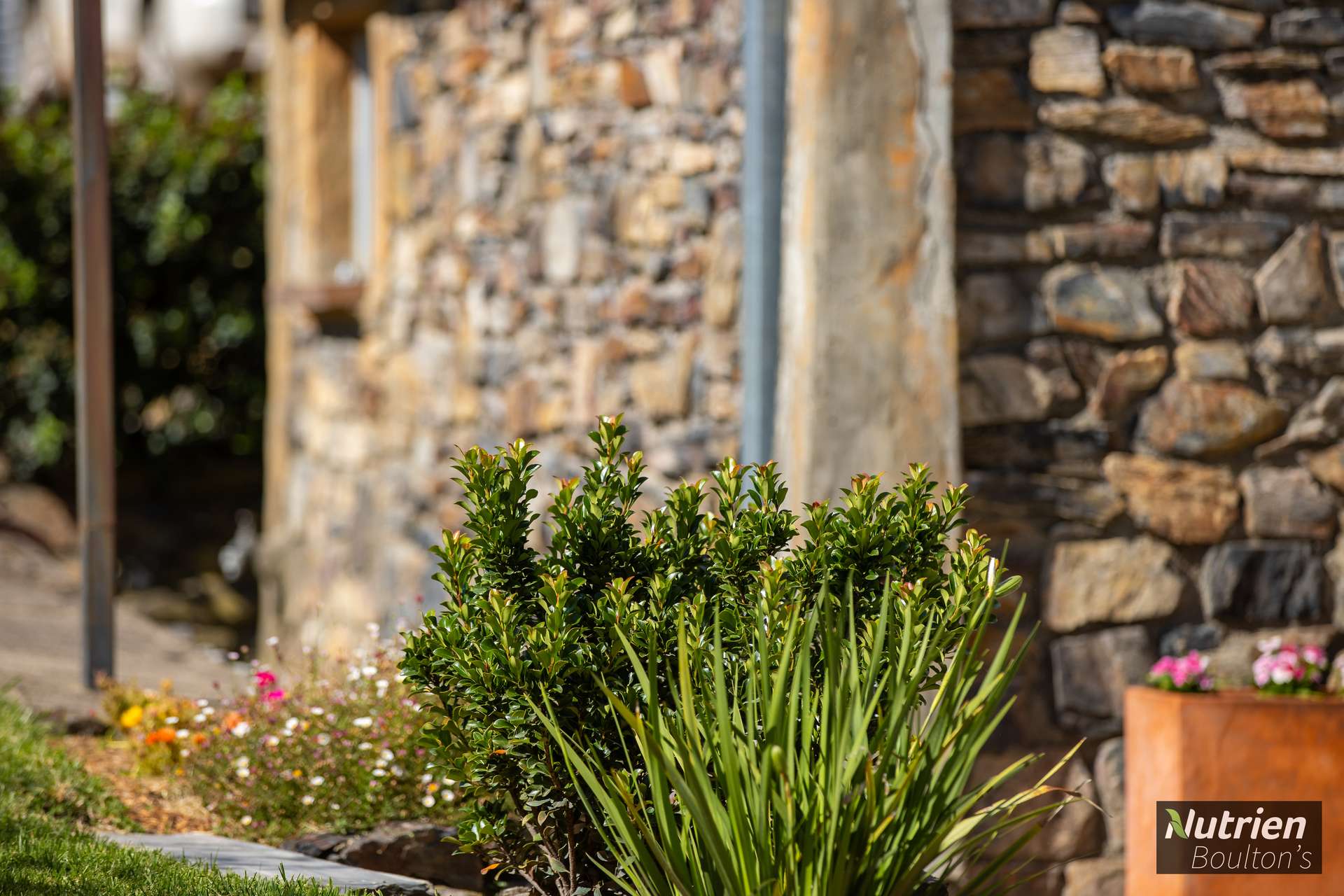 224 Niangala-Walcha Road, Niangala For Sale by Farmbuy.com - image 17