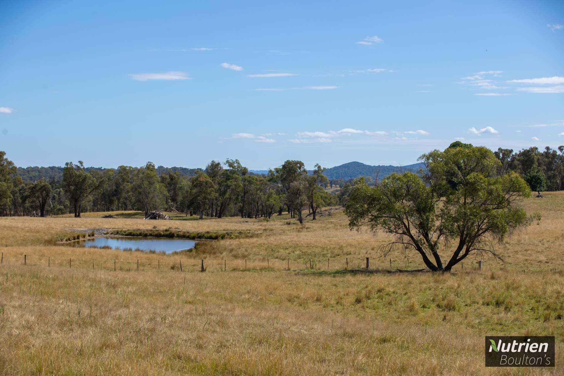 224 Niangala-Walcha Road, Niangala For Sale by Farmbuy.com - image 20