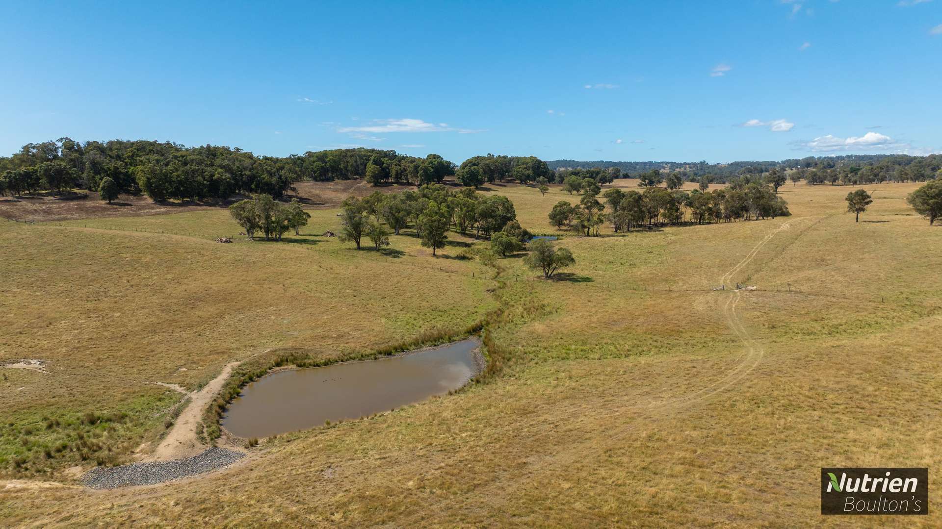 224 Niangala-Walcha Road, Niangala For Sale by Farmbuy.com - image 34