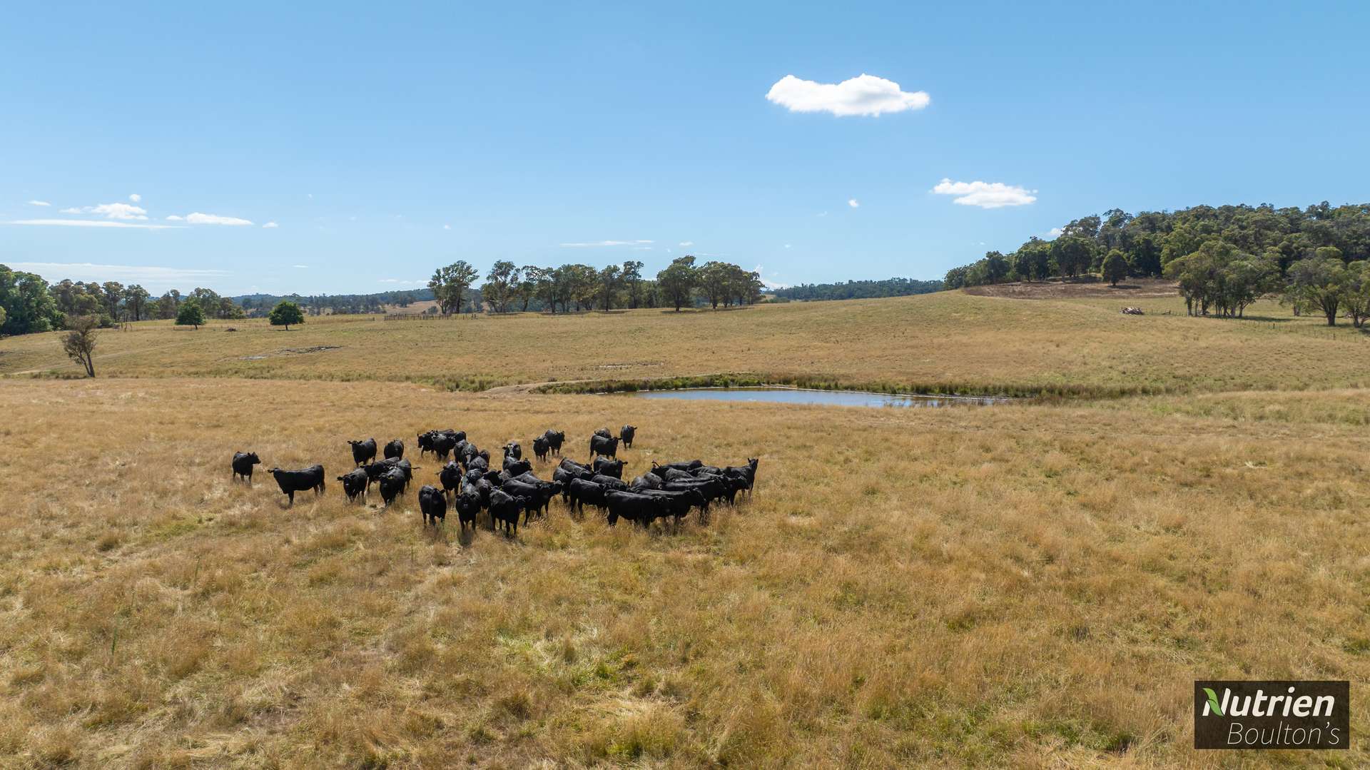 224 Niangala-Walcha Road, Niangala For Sale by Farmbuy.com - image 32