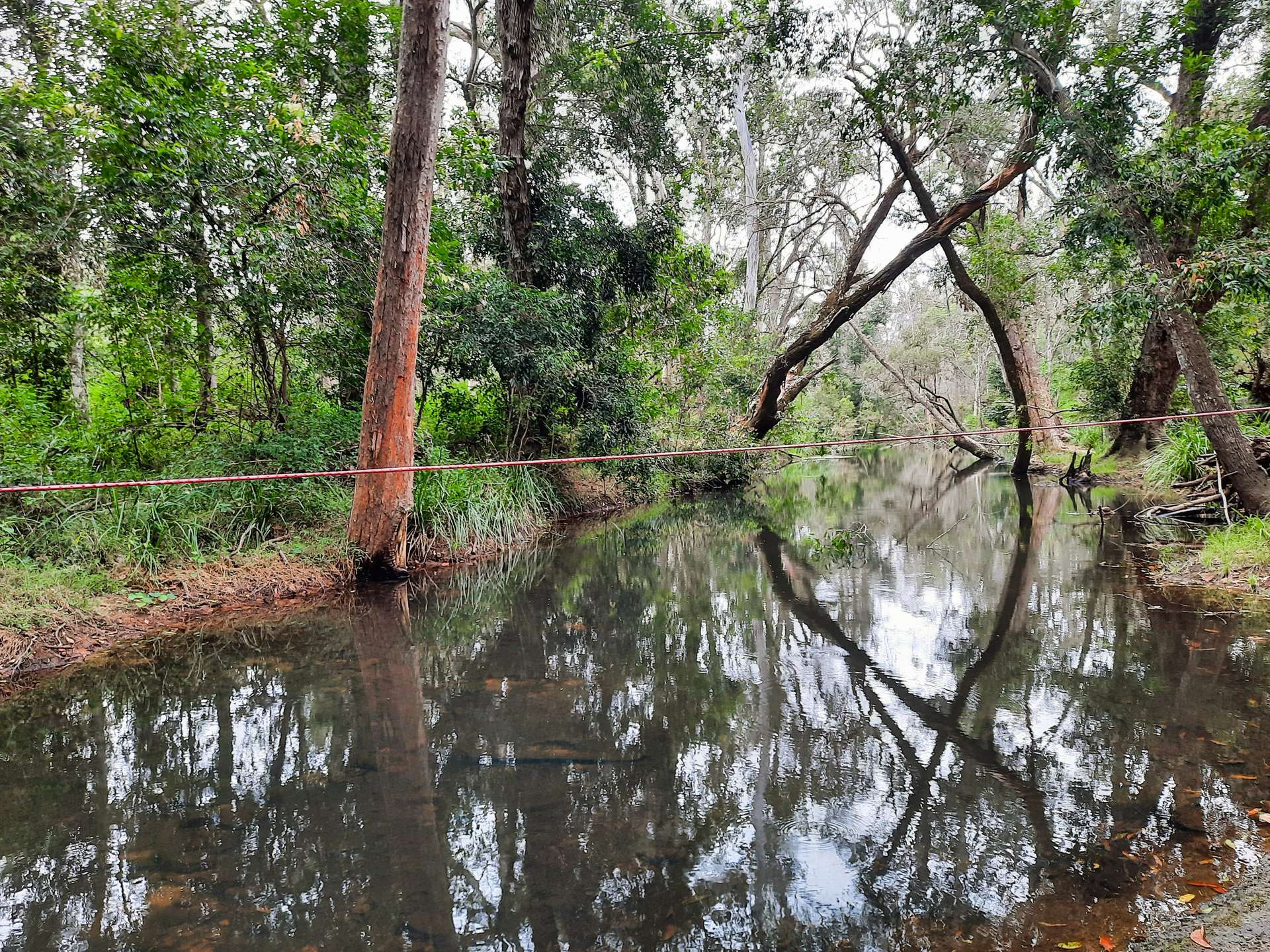 529 Doughboy Road, Doughboy For Sale by Farmbuy.com - image 22