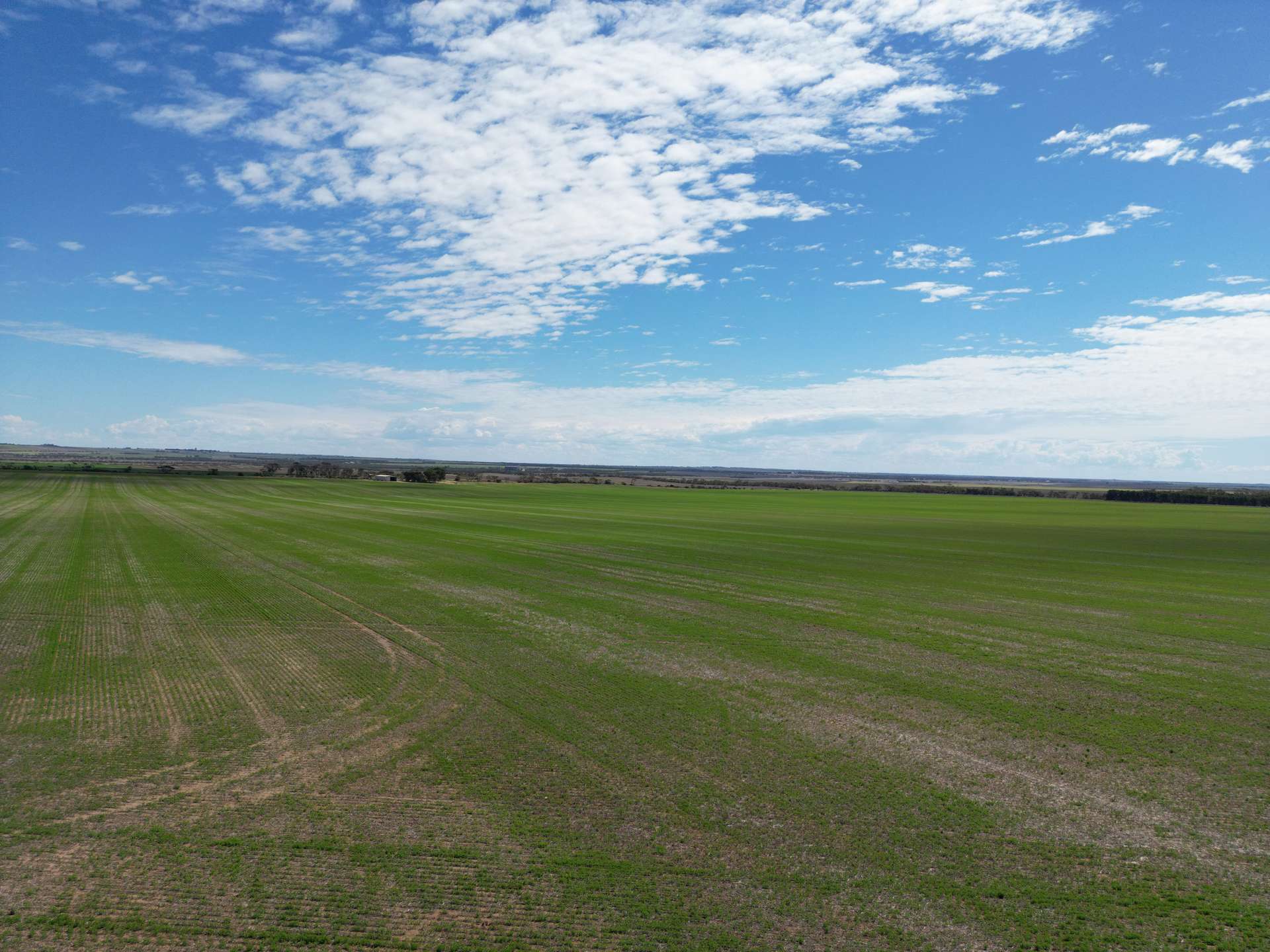 S496 James Road, Kulpara Auction by Farmbuy.com - image 3