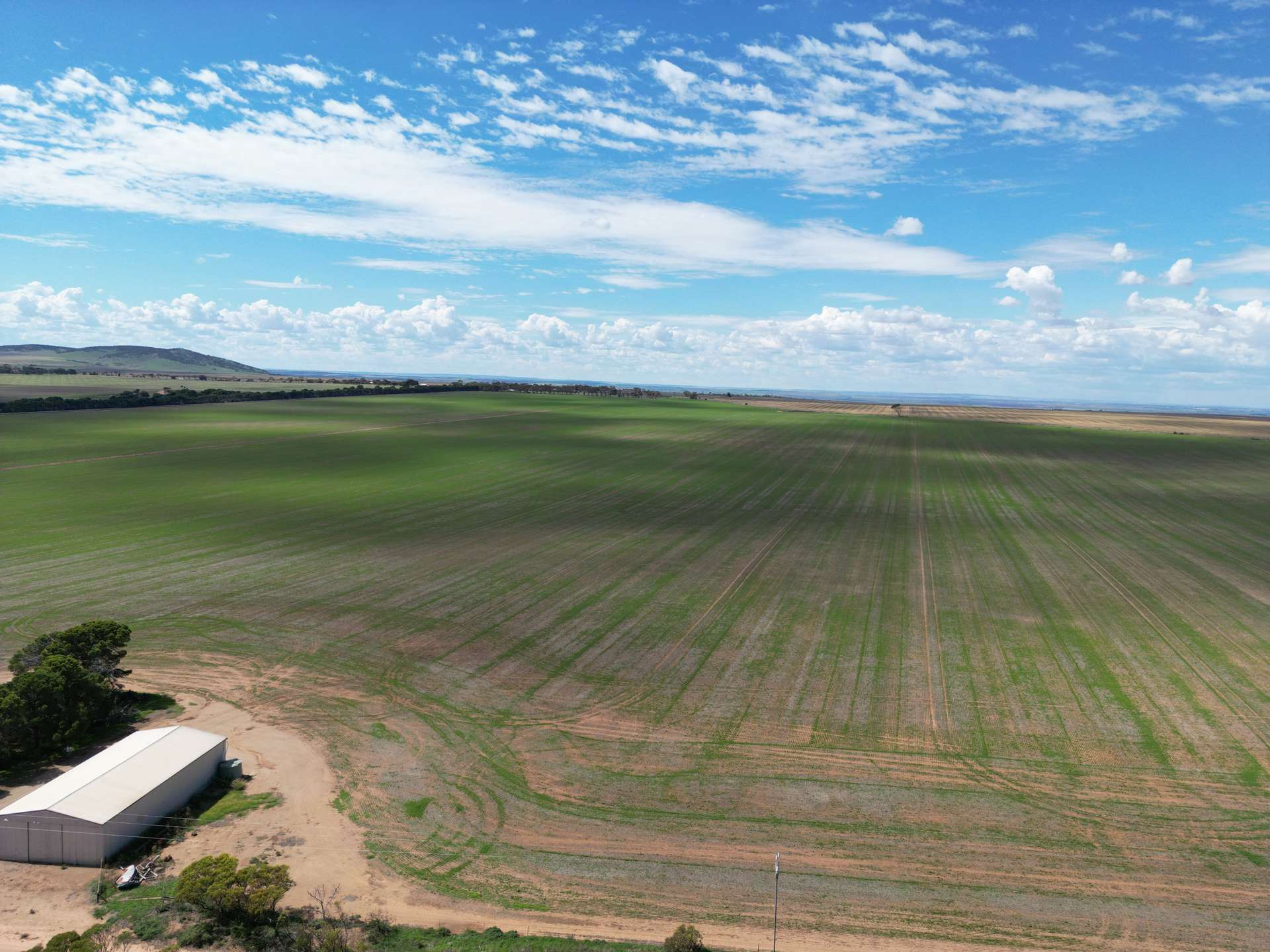 S496 James Road, Kulpara Auction by Farmbuy.com - image 4