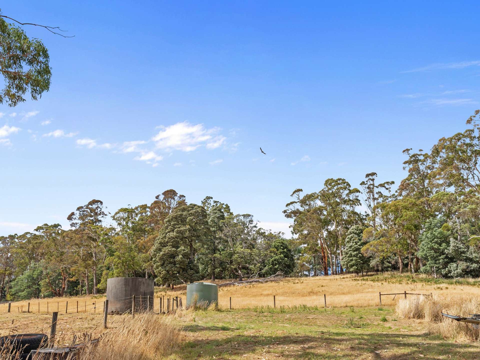 75 Jeffries Road, Paradise Sold by Farmbuy.com - image 19