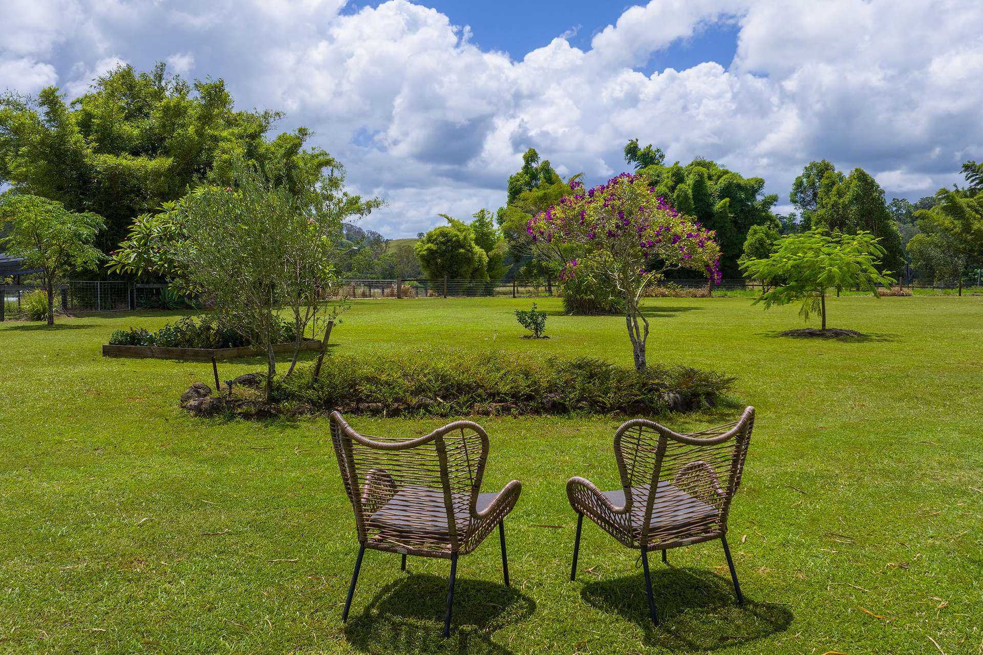 715 Wilsons Pocket Road, Wilsons Pocket For Sale by Farmbuy.com - image 4