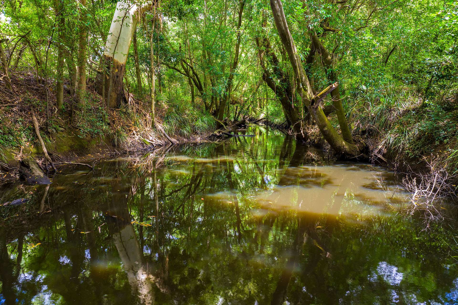 715 Wilsons Pocket Road, Wilsons Pocket For Sale by Farmbuy.com - image 25