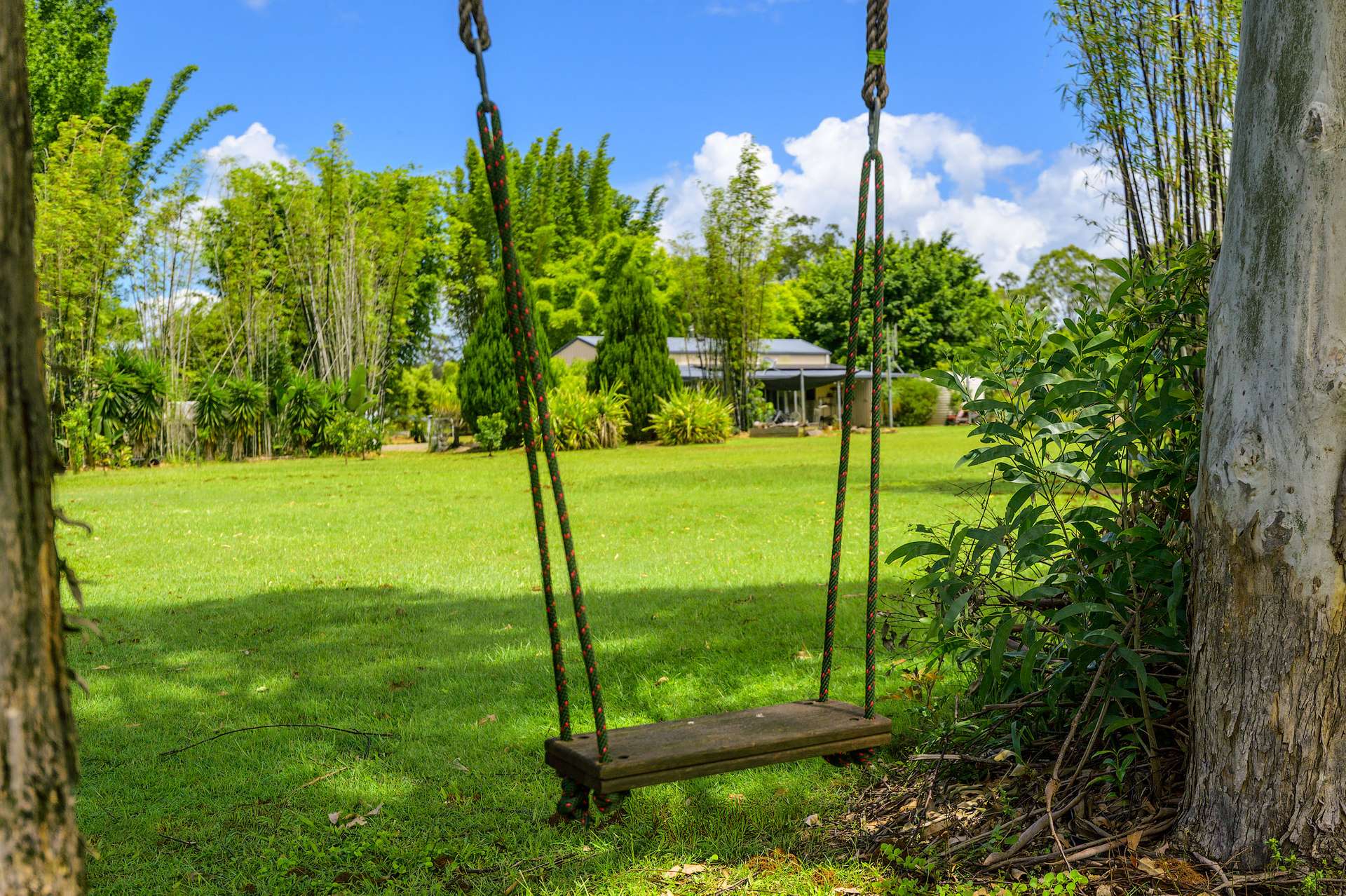 715 Wilsons Pocket Road, Wilsons Pocket For Sale by Farmbuy.com - image 30