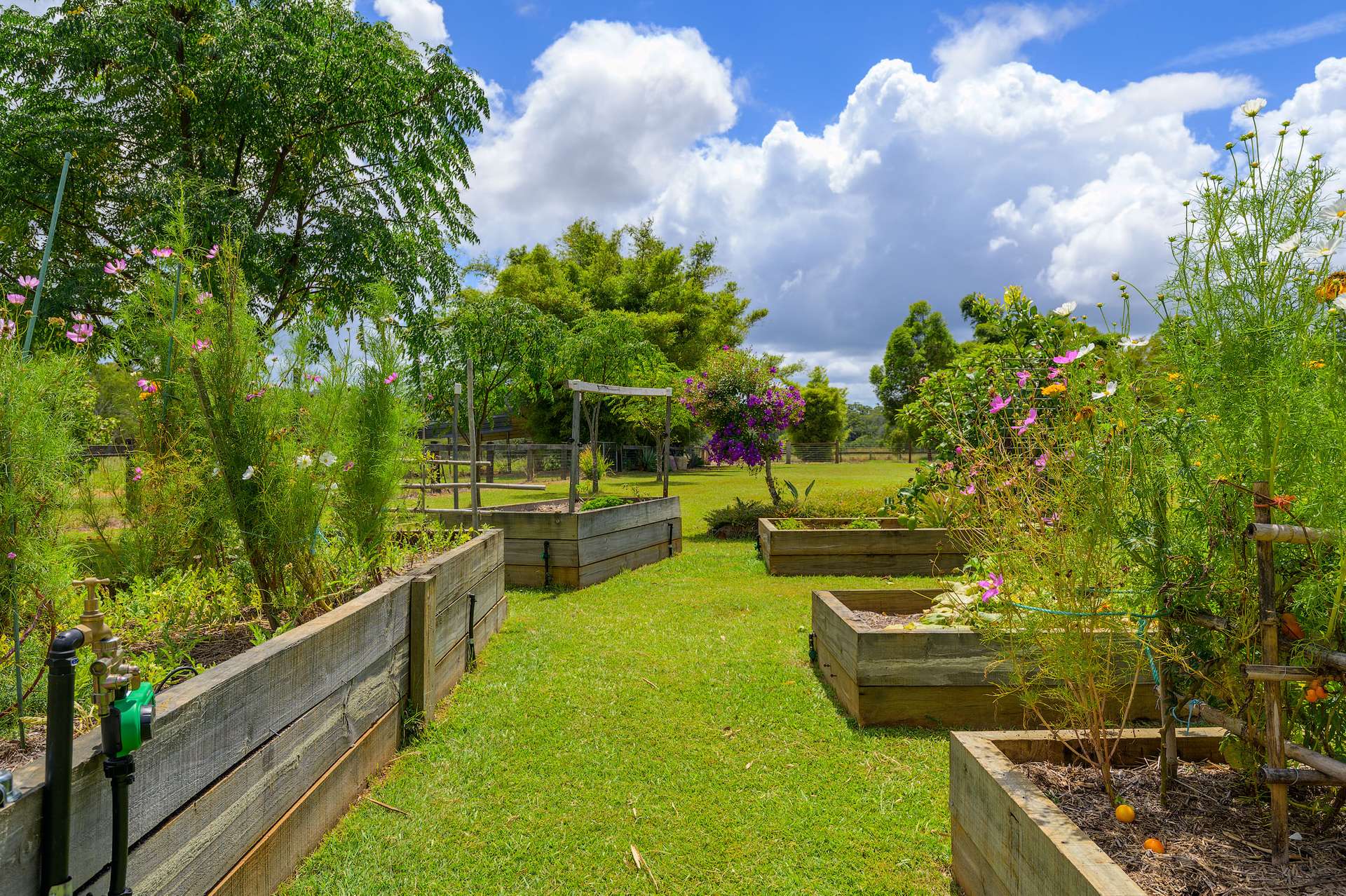 715 Wilsons Pocket Road, Wilsons Pocket For Sale by Farmbuy.com - image 5