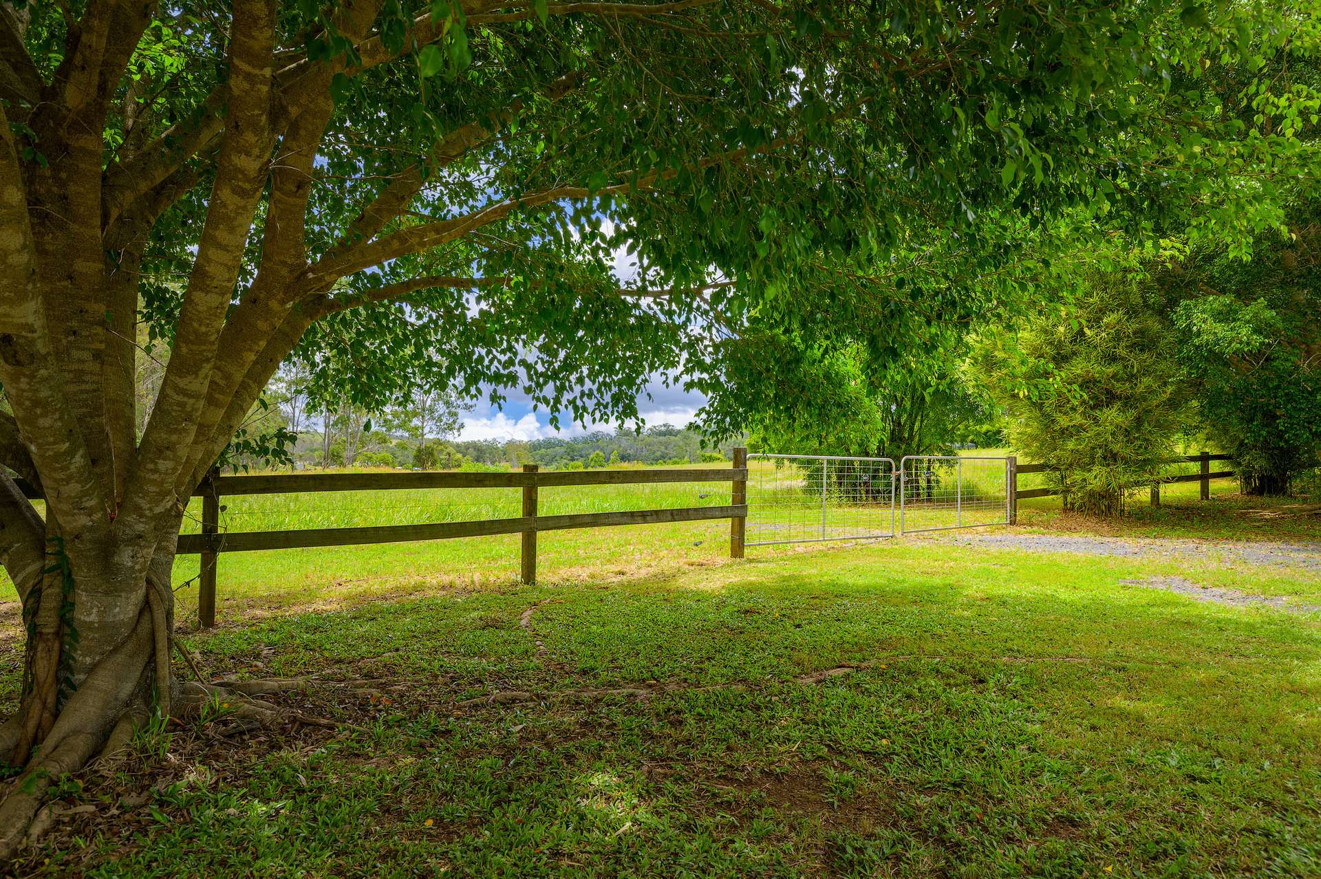 715 Wilsons Pocket Road, Wilsons Pocket For Sale by Farmbuy.com - image 33