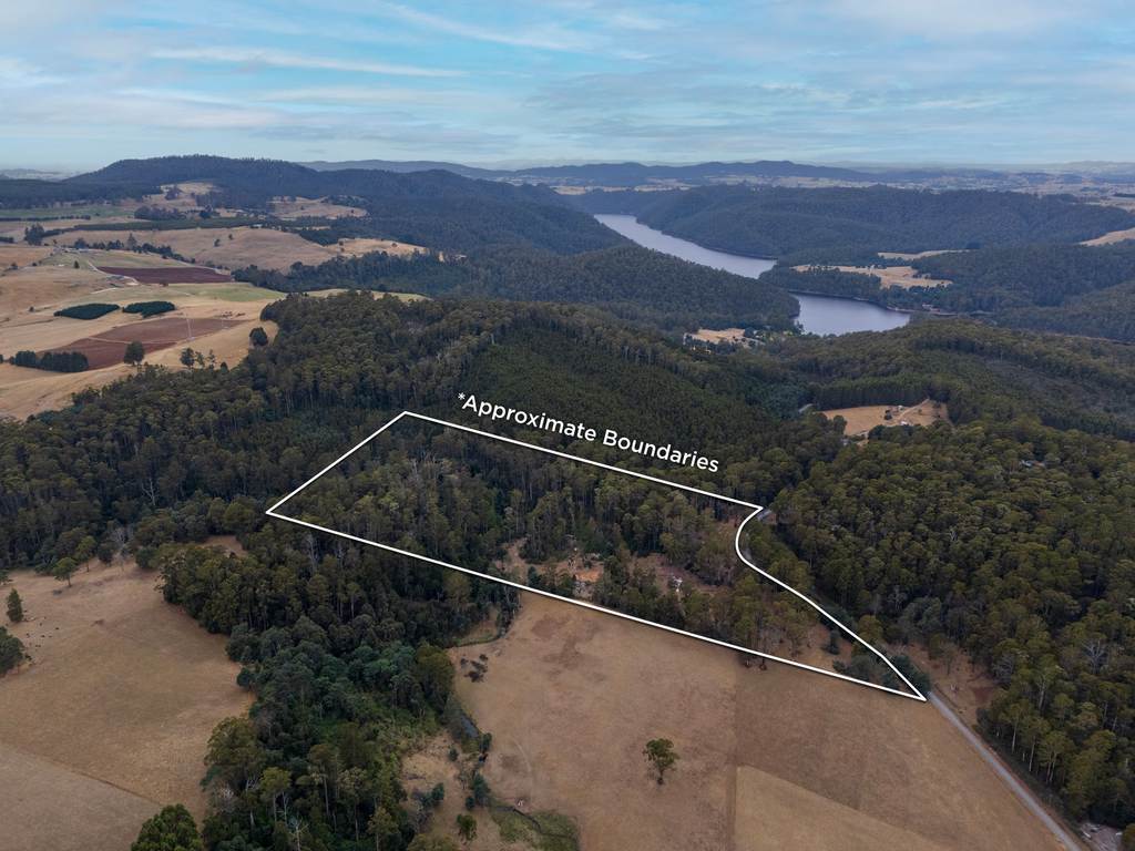 167 Lake Barrington Road, Wilmot TAS 7310