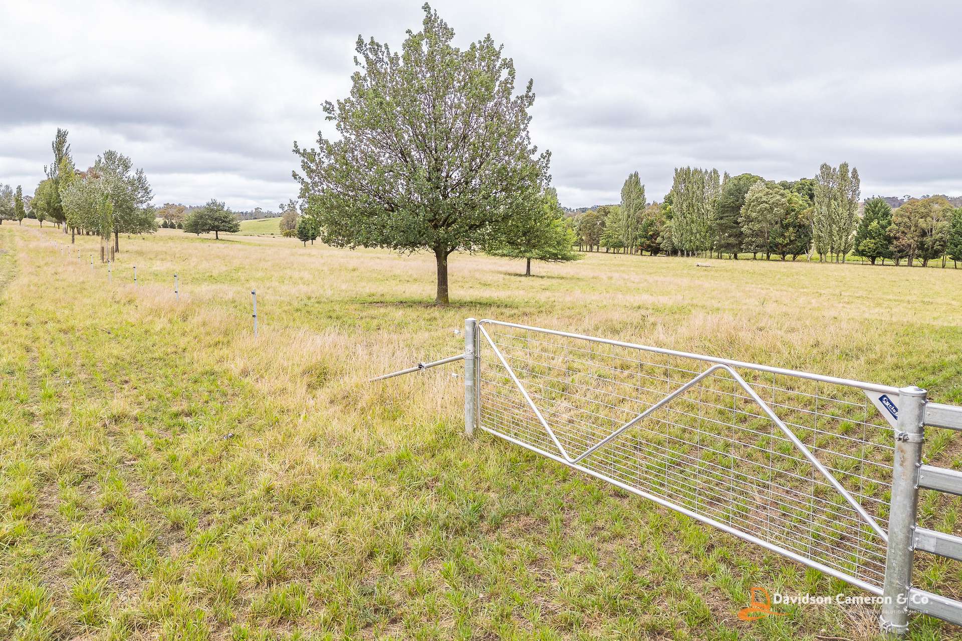 "Langleigh" 14503 Thunderbolts Way, Walcha For Sale by Farmbuy.com - image 14