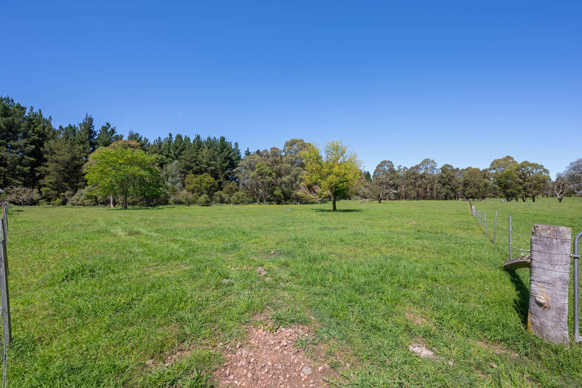 438 Sawyers Ridge Road, Braidwood For Sale by Farmbuy.com - image 19