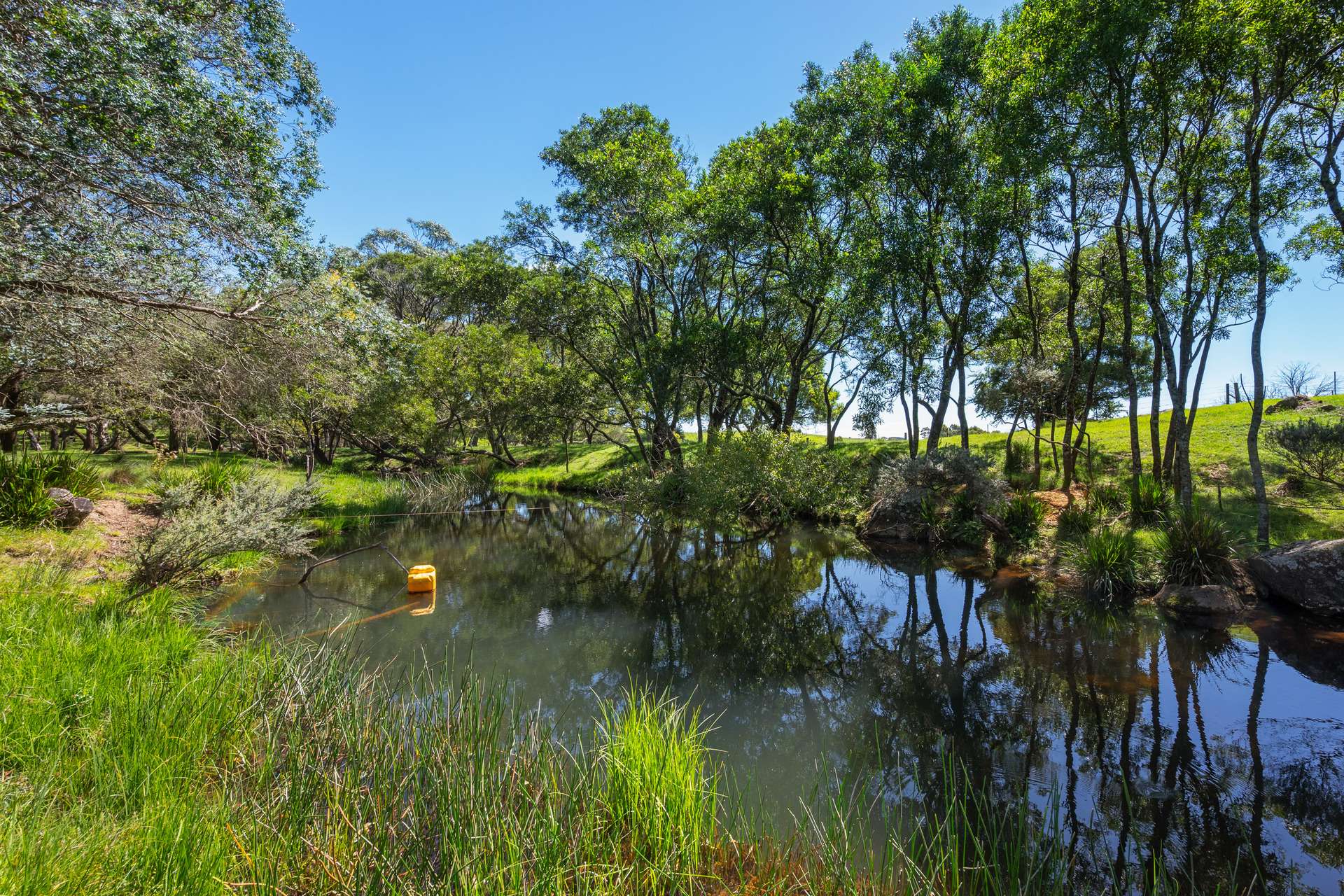 438 Sawyers Ridge Road, Braidwood For Sale by Farmbuy.com - image 17